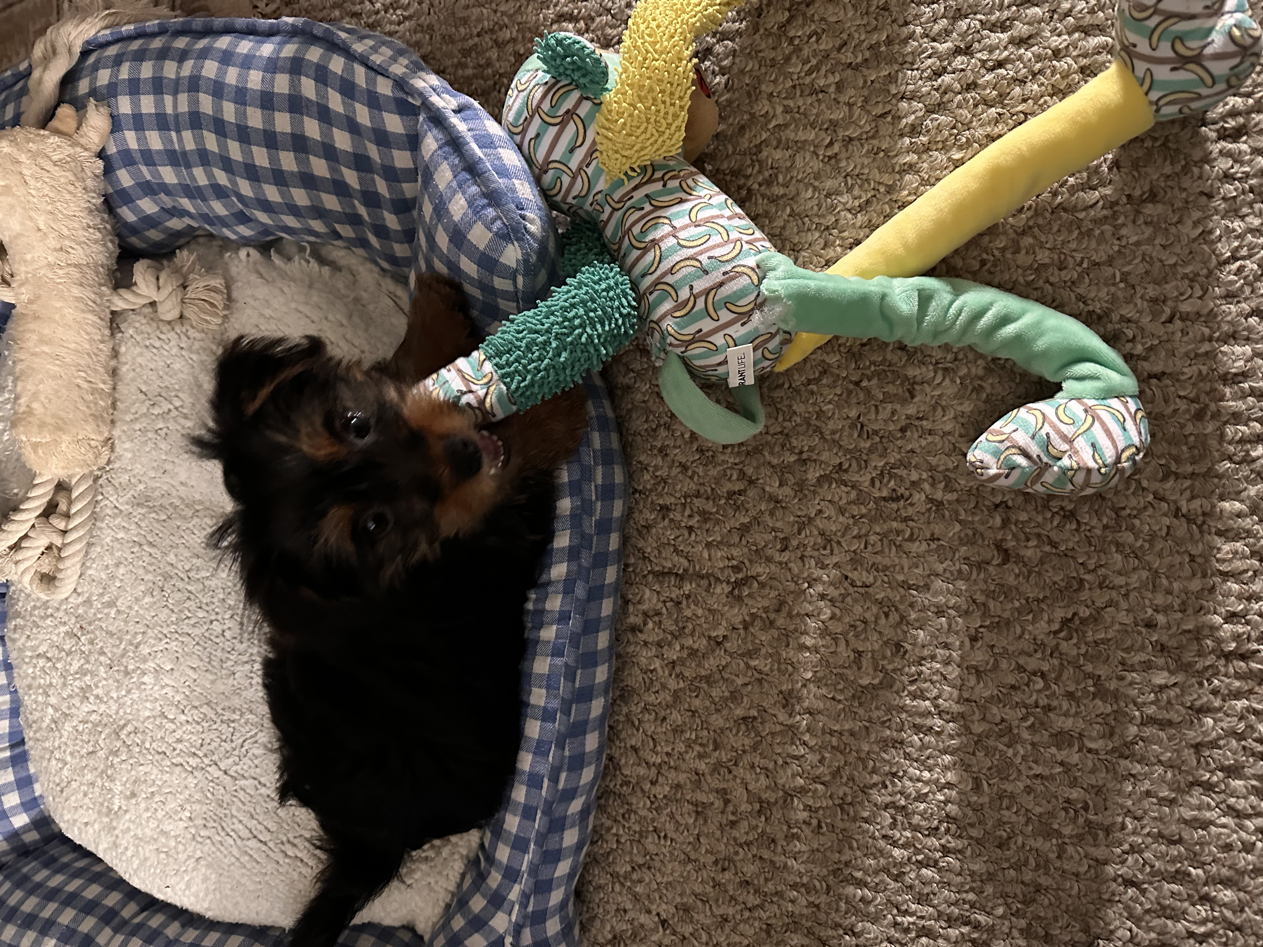 Photo Review Submission from Danielle Stinnette