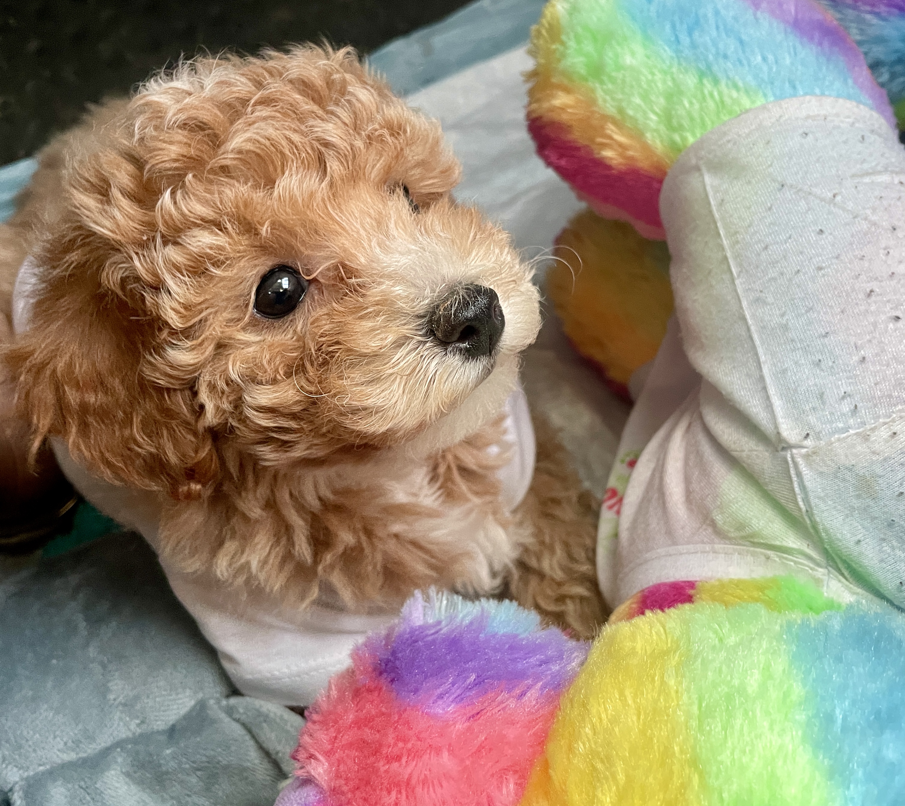 Photo Review Submission from Ash O