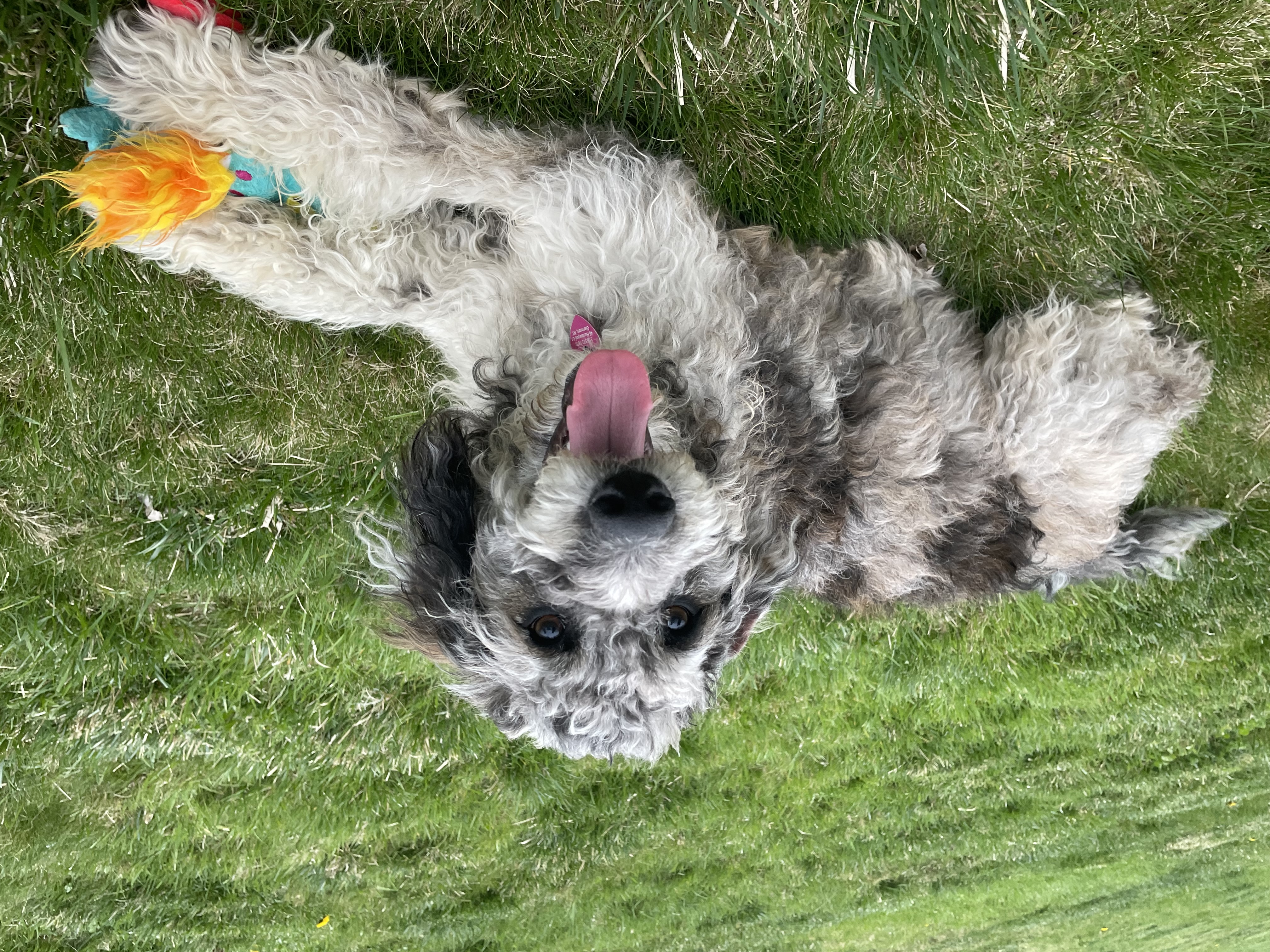 Photo Review Submission from Angelia Ryan