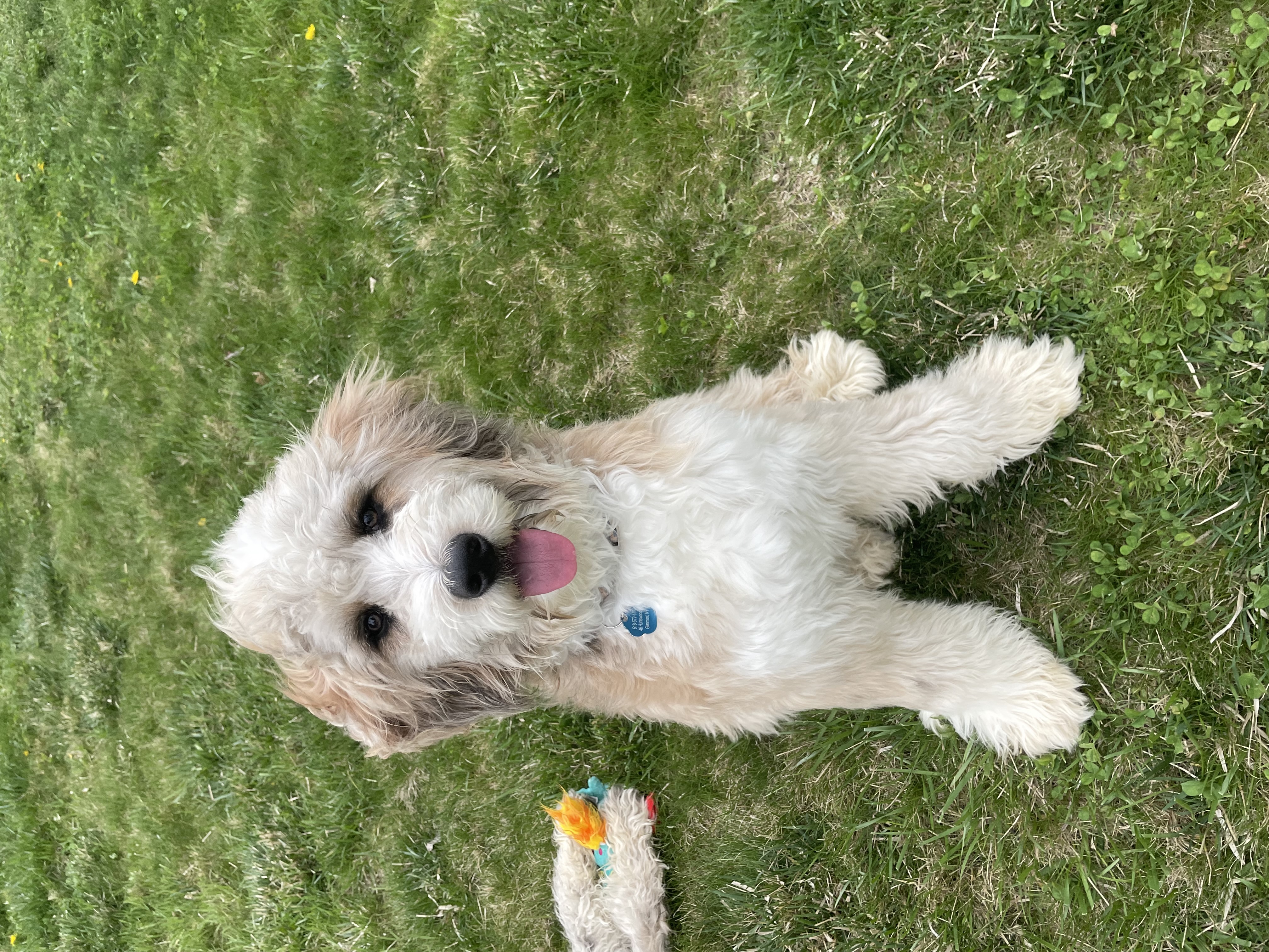 Photo Review Submission from Angelia Ryan