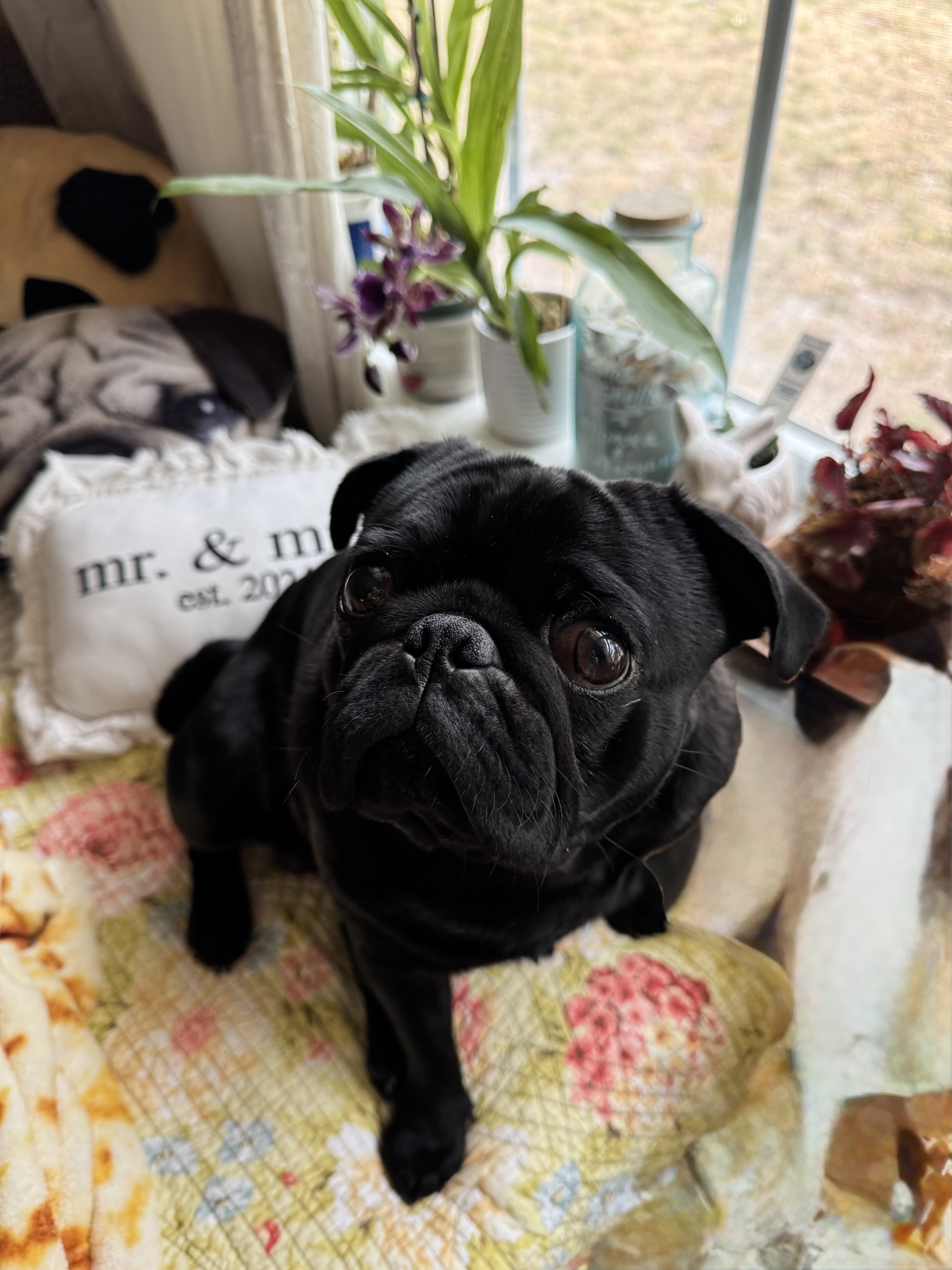 Photo Review Submission from Denise Tuttle