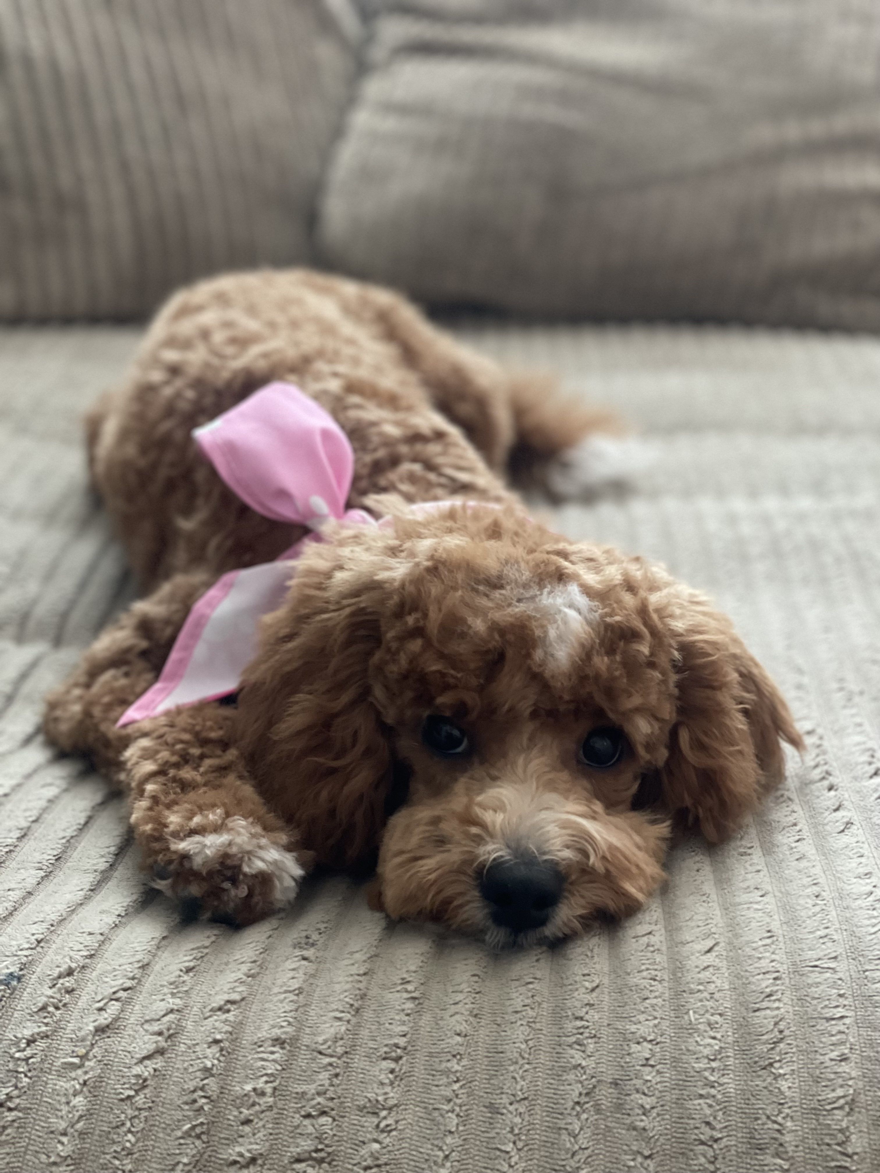 Photo Review Submission from Denise P