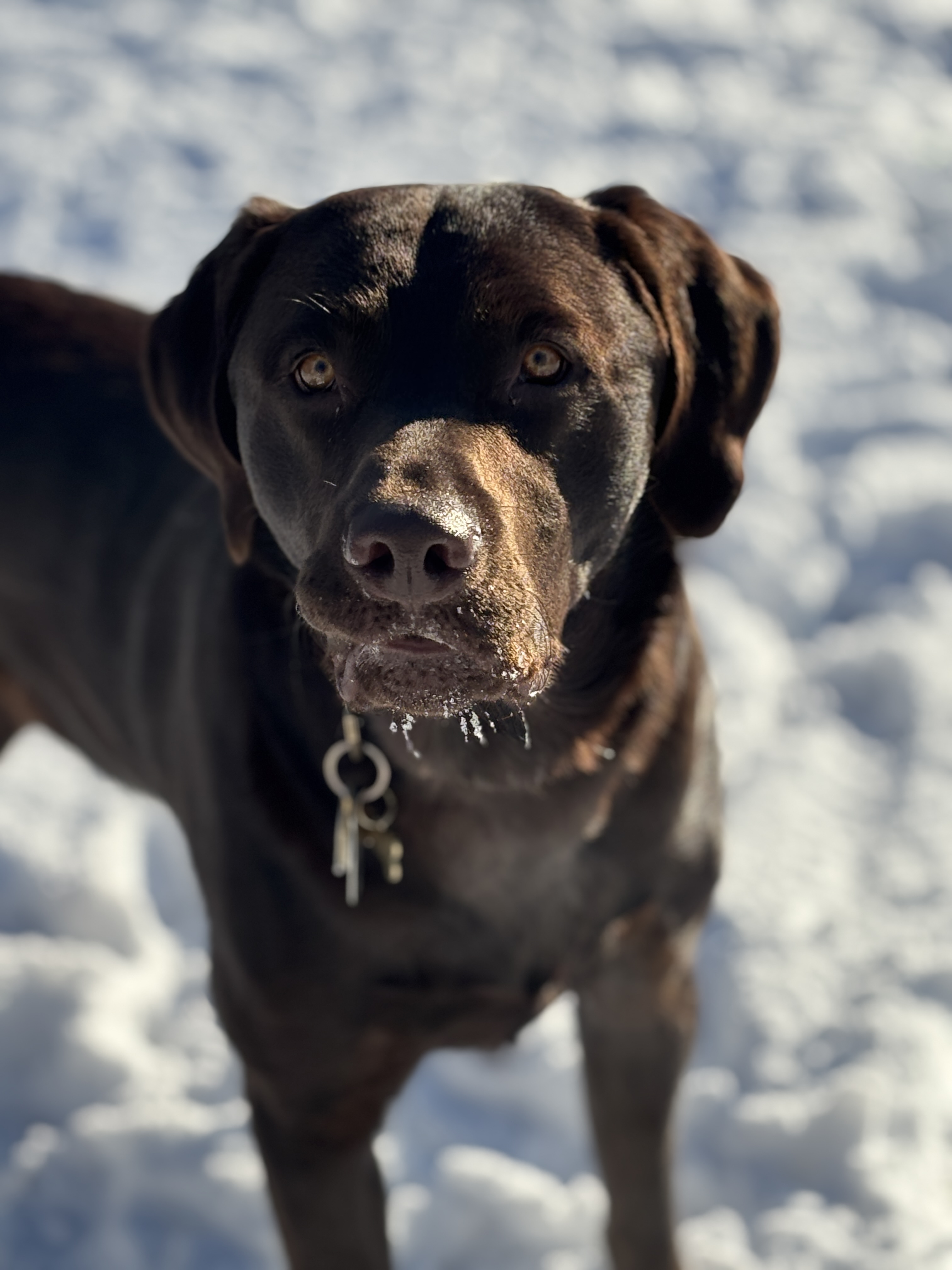 Photo Review Submission from Patrick Cullity