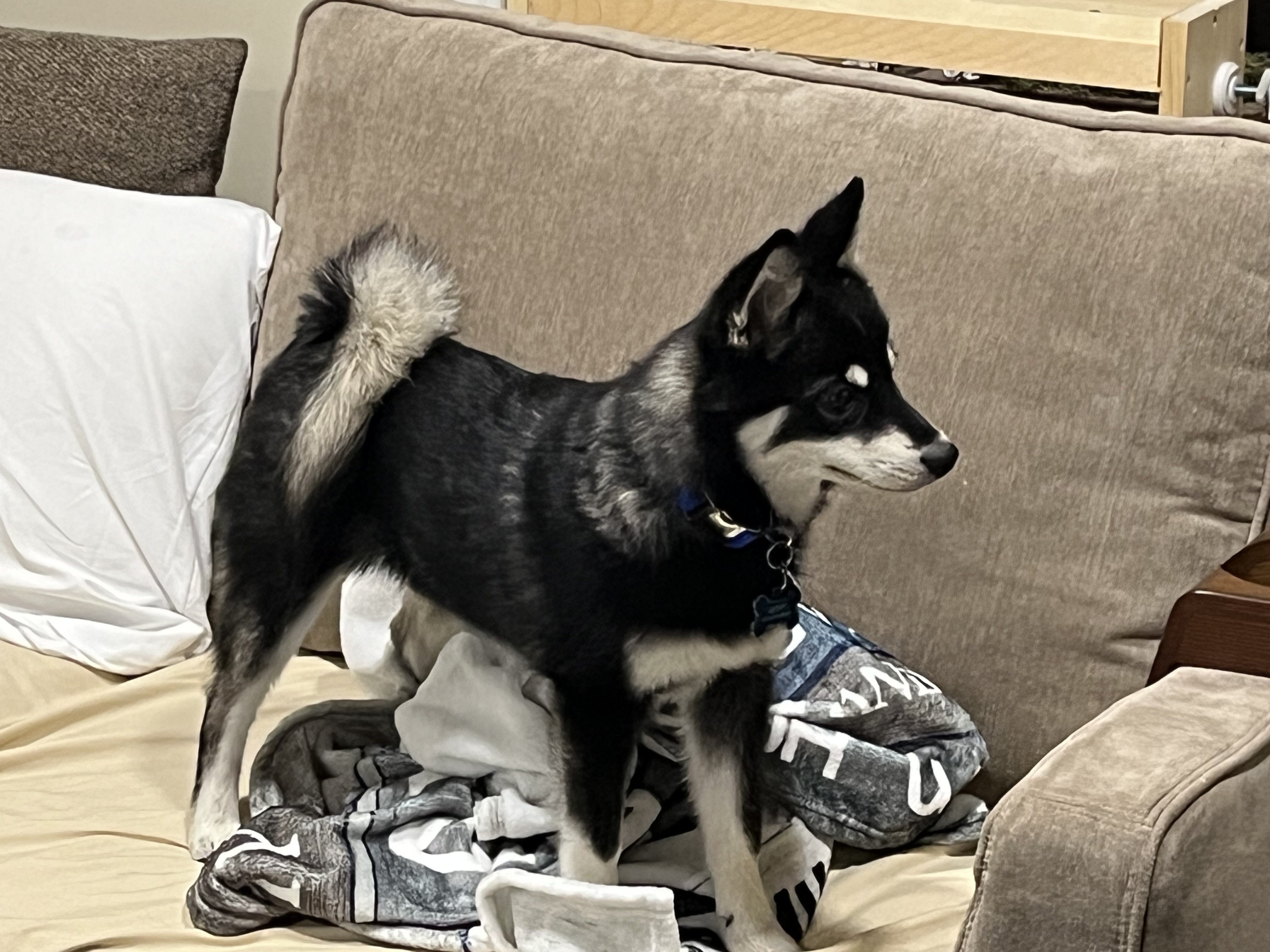 Photo Review Submission from Debra Sicuranza
