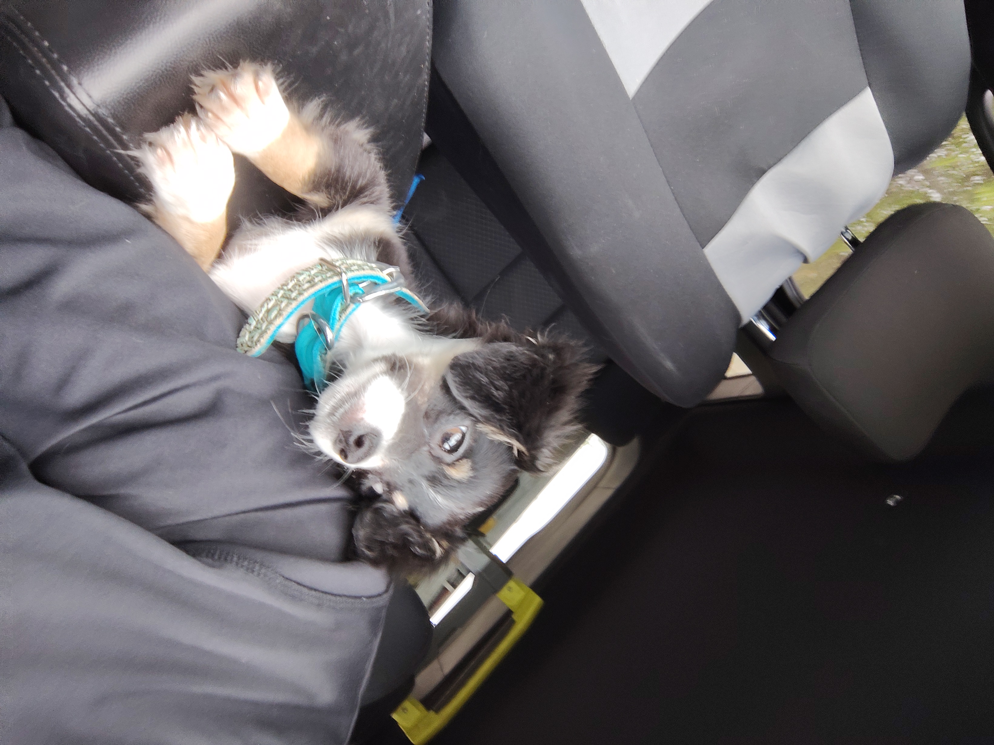 Photo Review Submission from Kristen Brehm