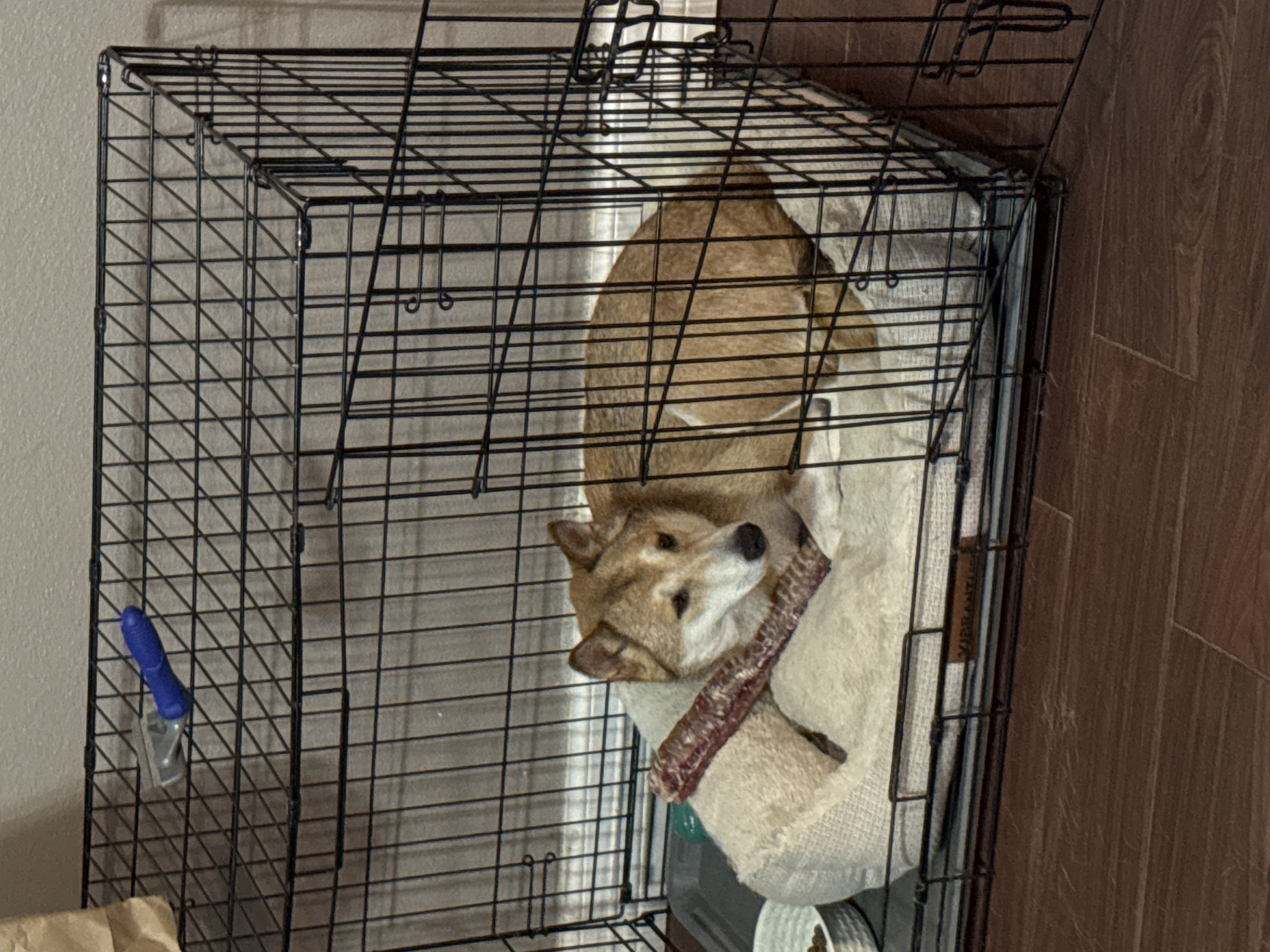 Photo Review Submission from Evelyn Cardenas