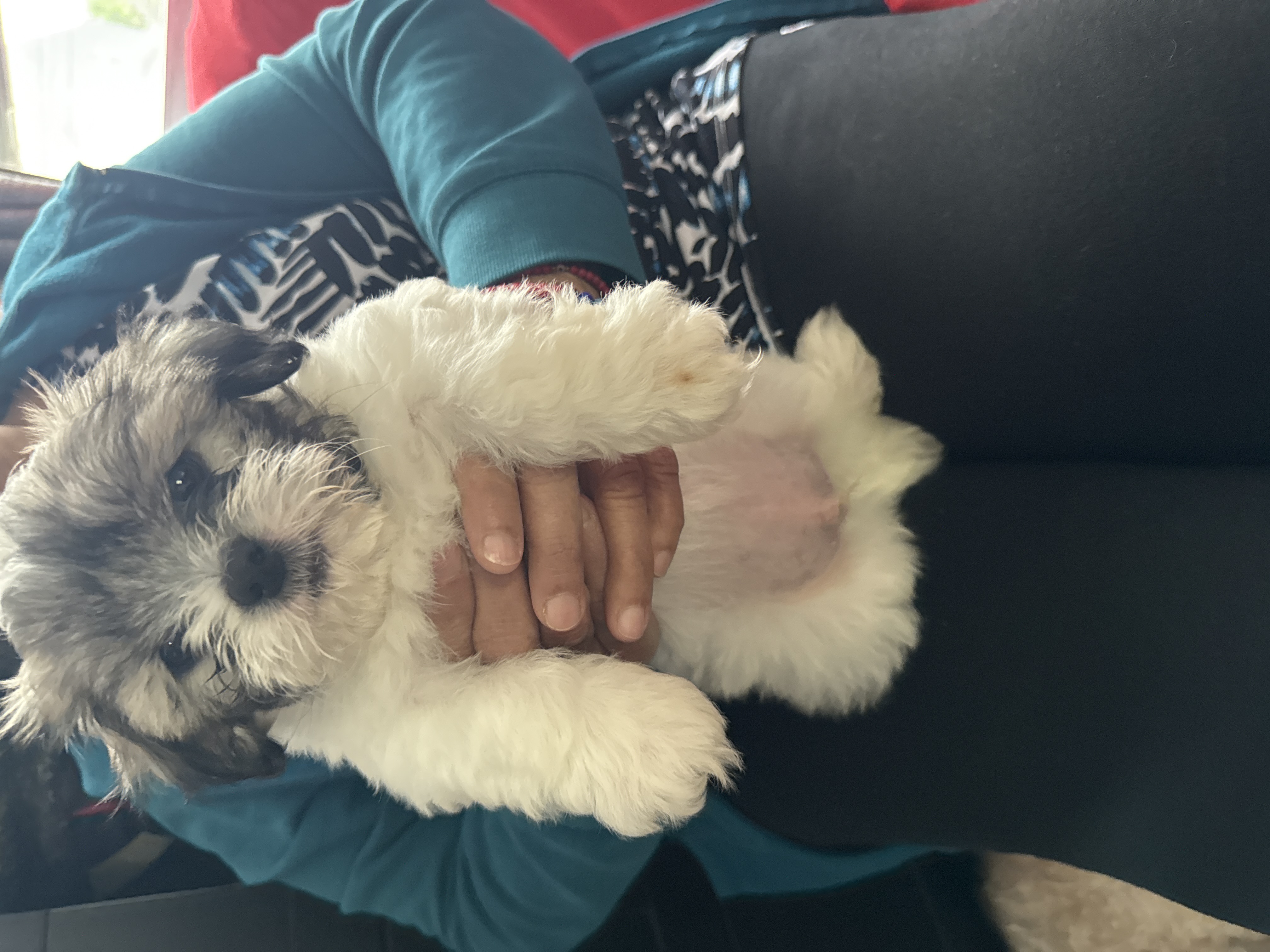 Photo Review Submission from Emily Mercado