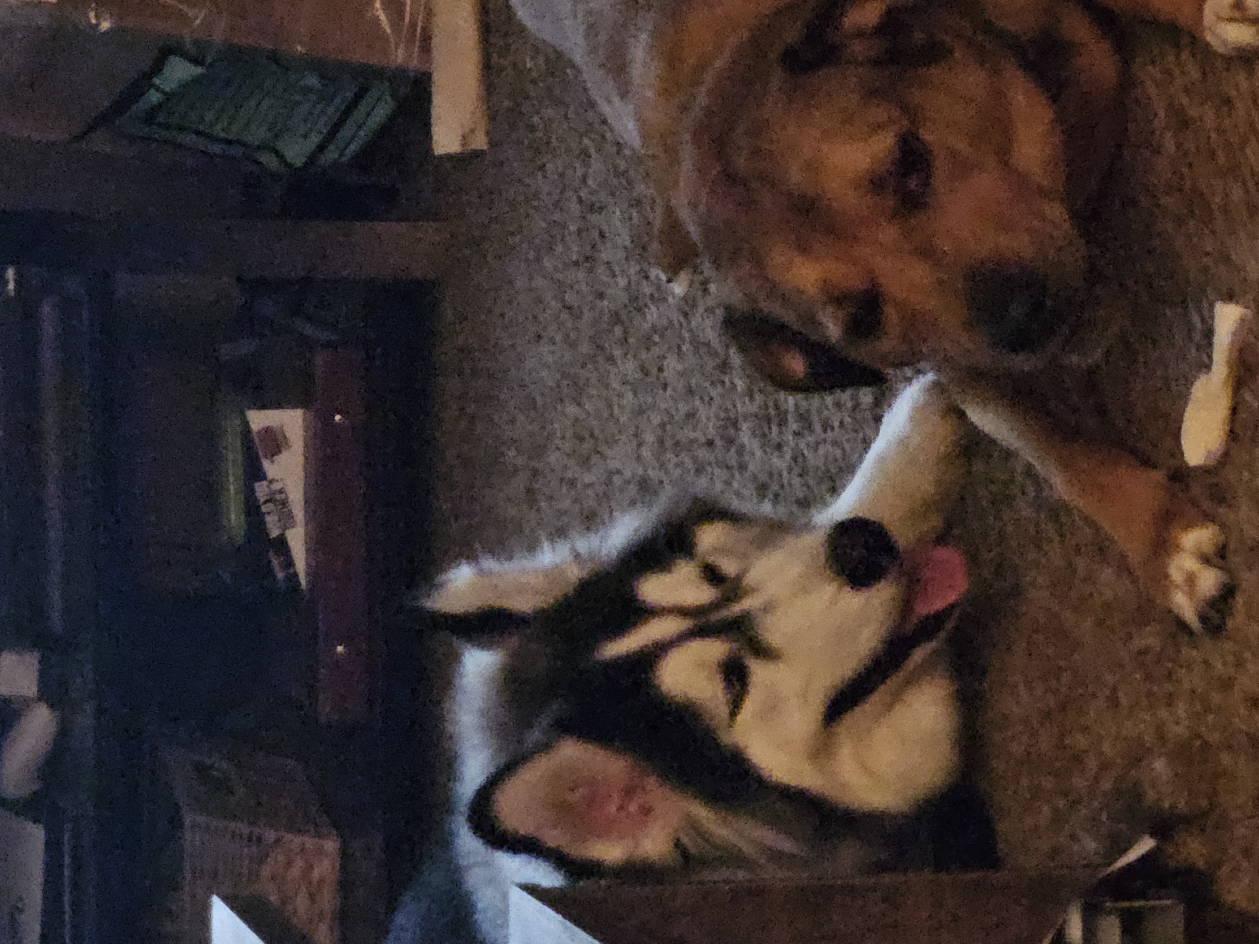 Photo Review Submission from Barbara Thomas