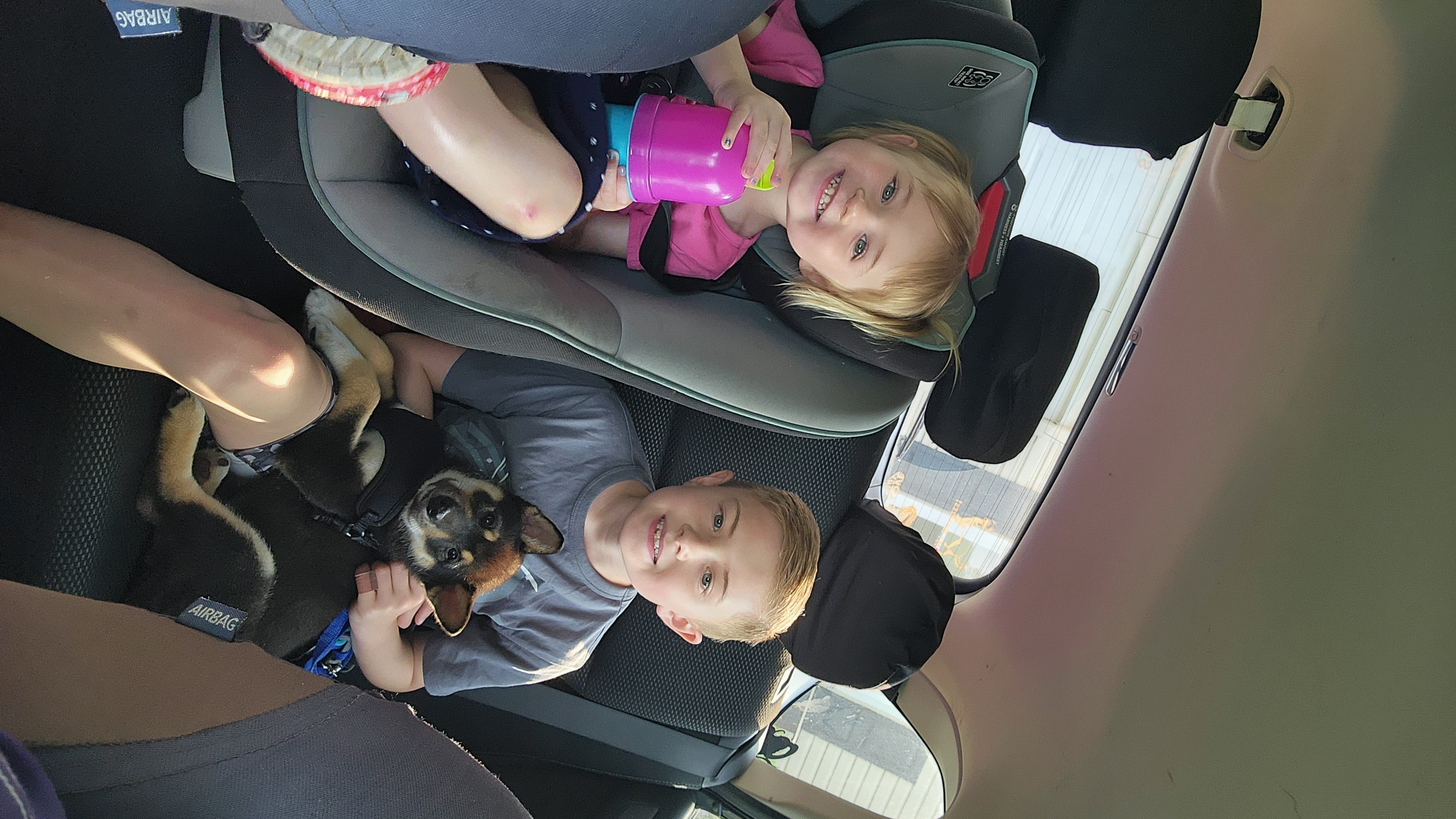 Photo Review Submission from Stacey Mardt