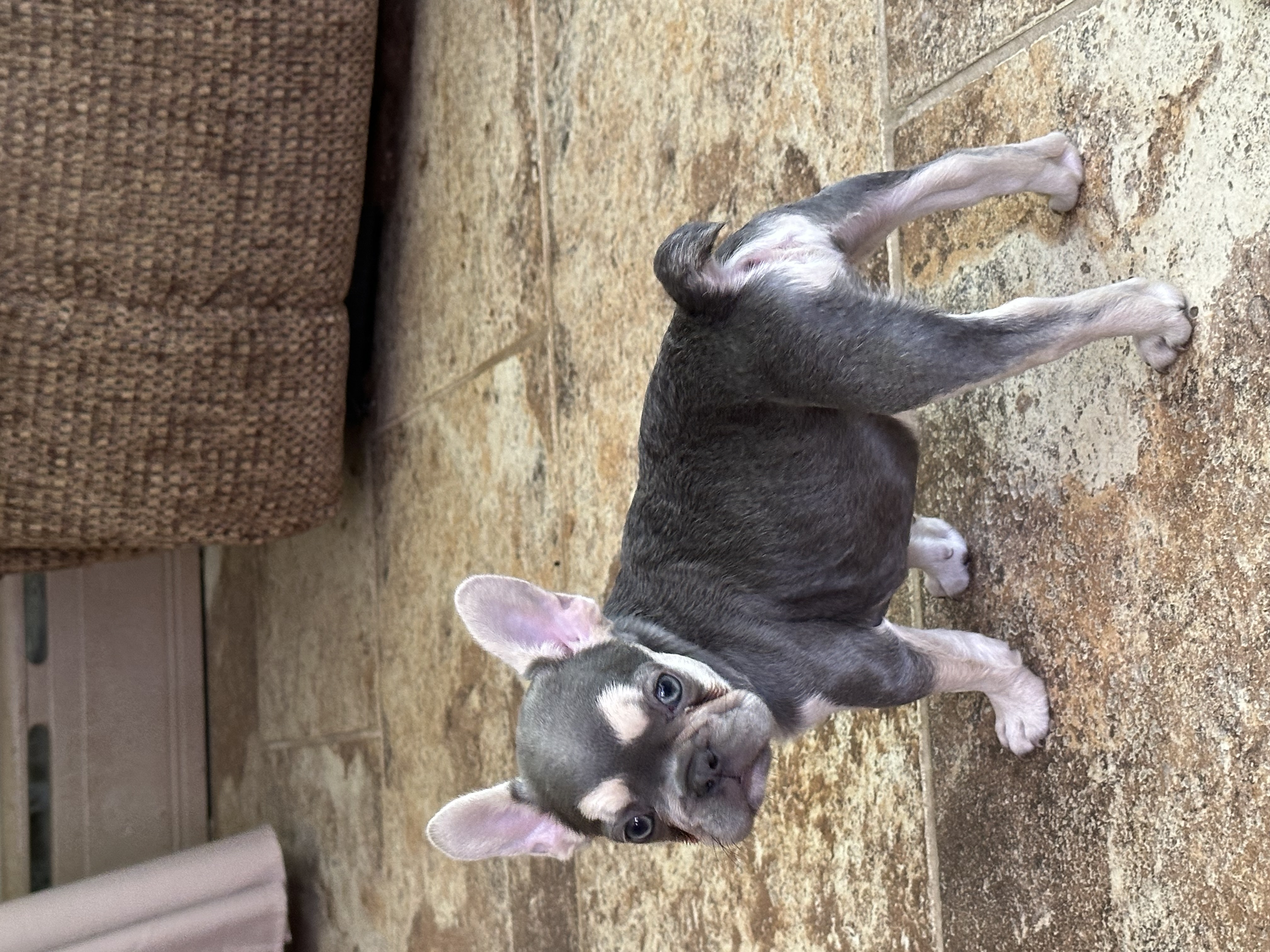 Photo Review Submission from Betty Mantz