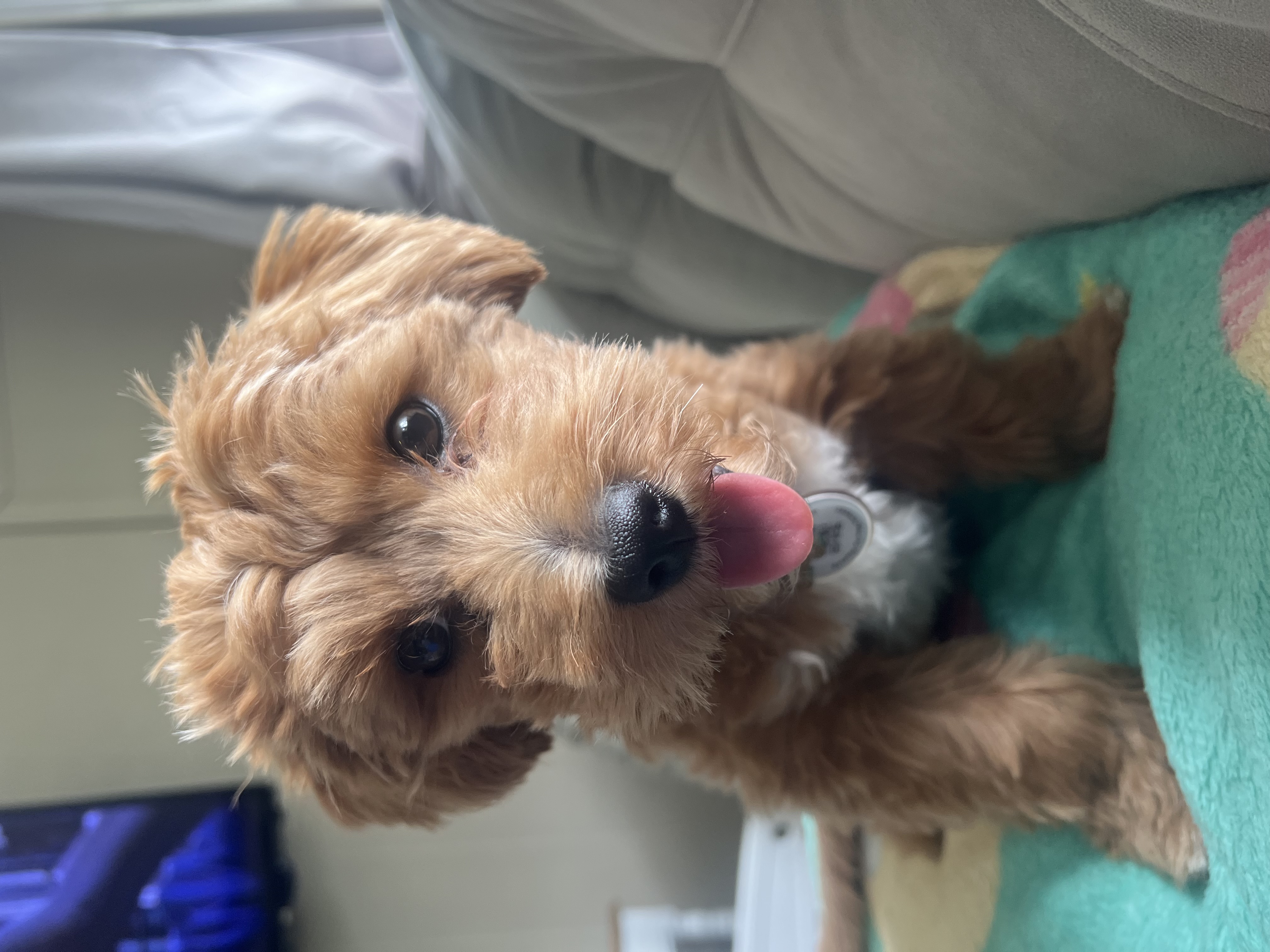Photo Review Submission from Kelly Figueiredo