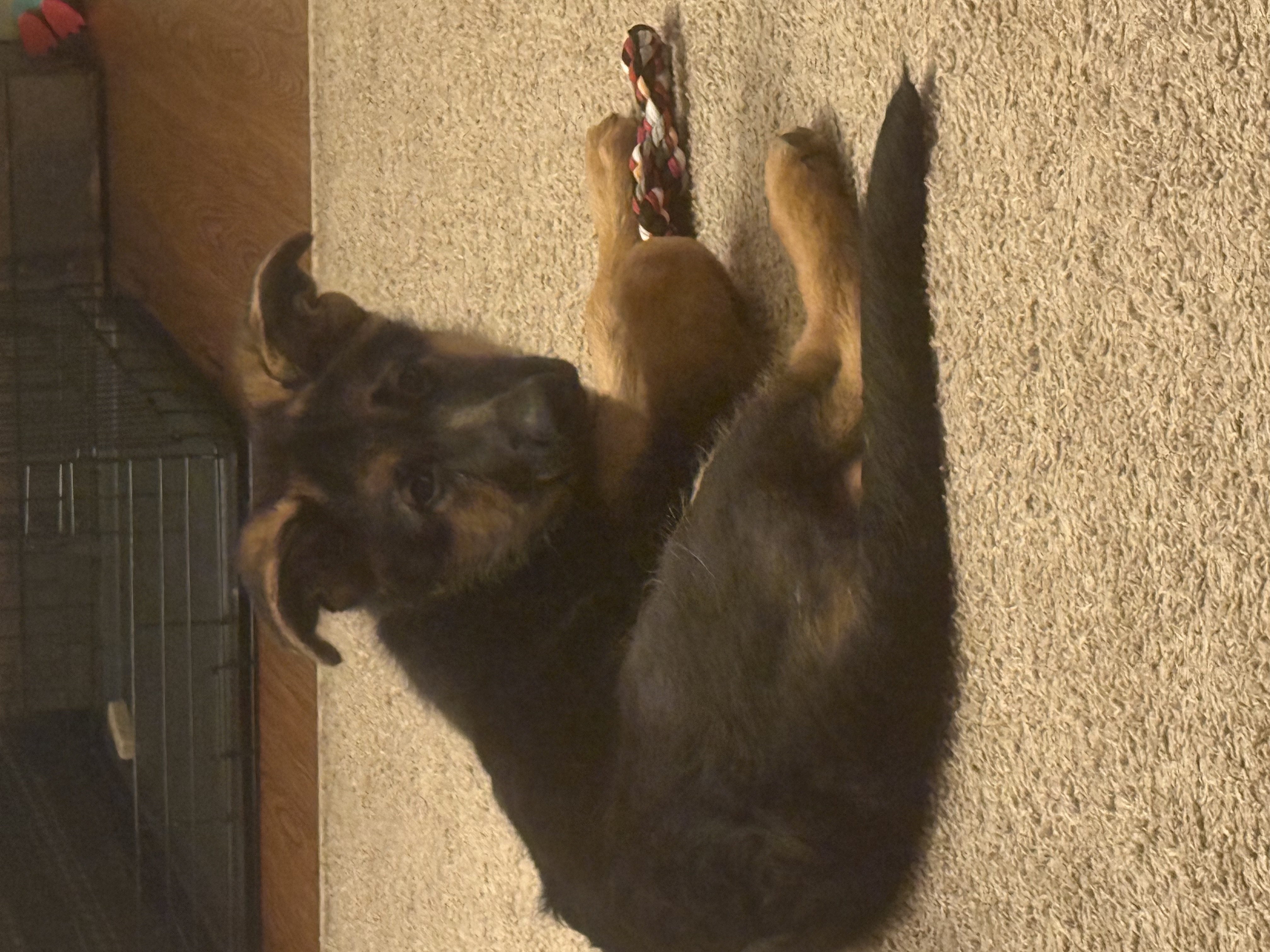 Photo Review Submission from Mary Milheim