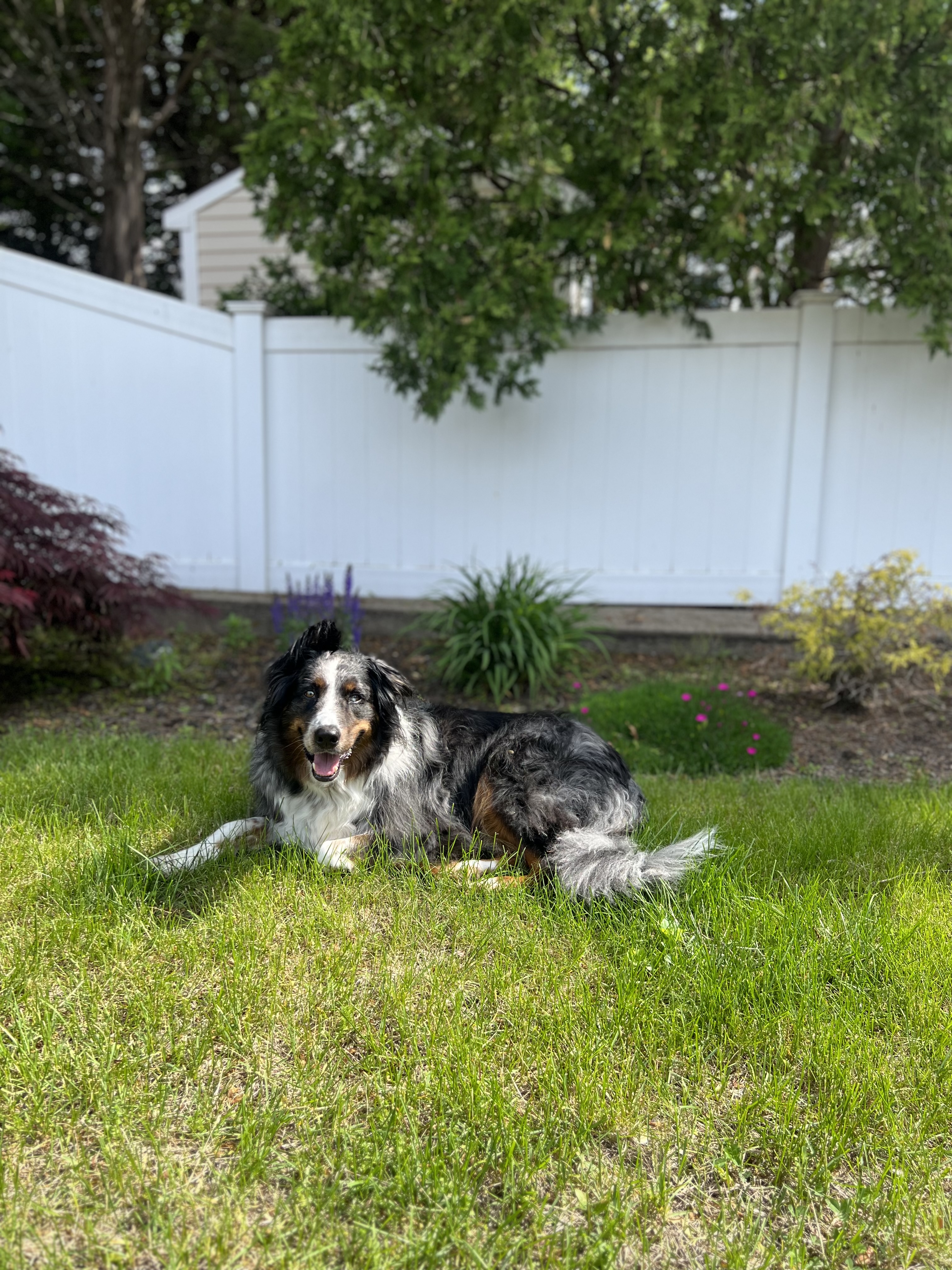 Photo Review Submission from Lauren C