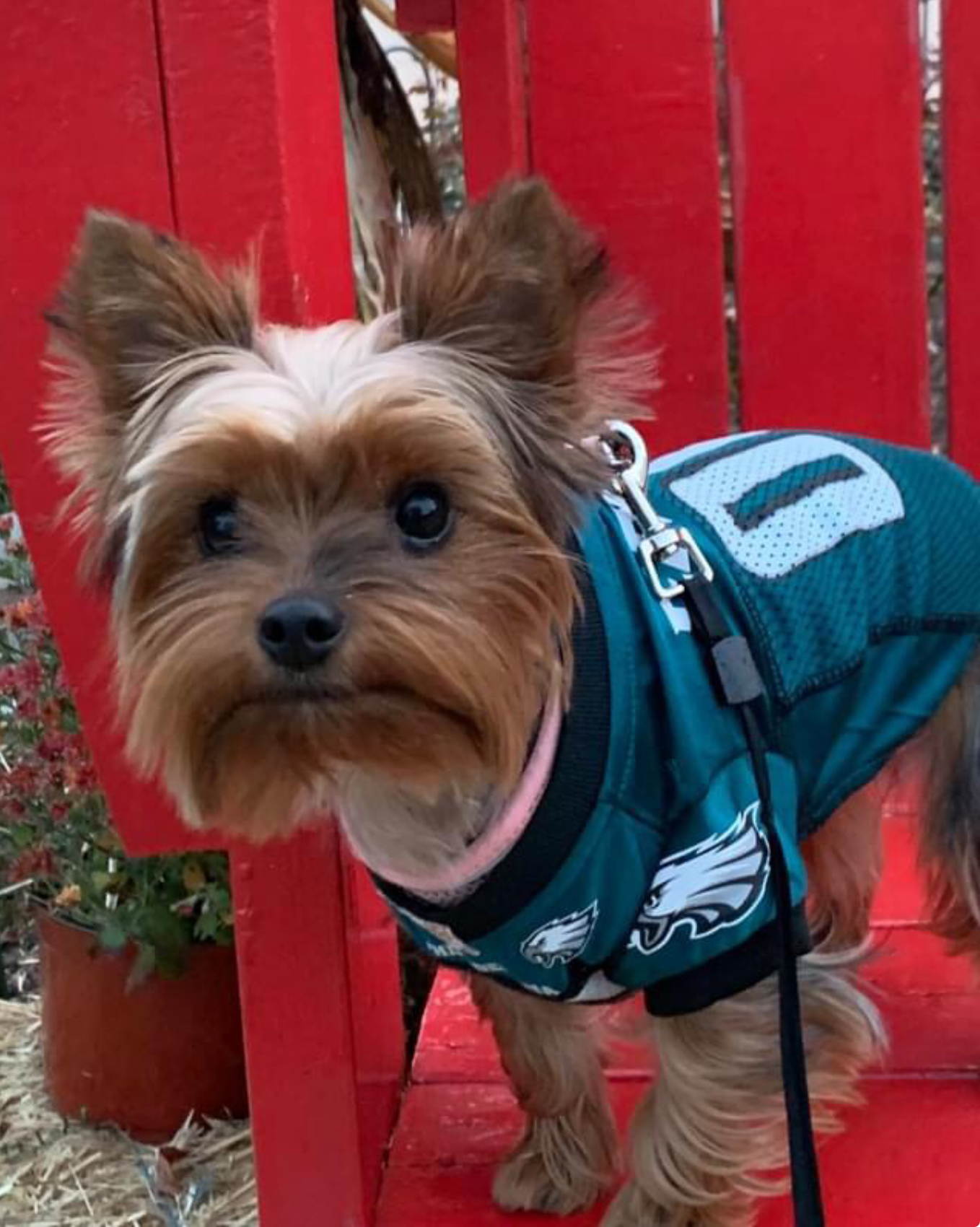 Photo Review Submission from Justeen Owens