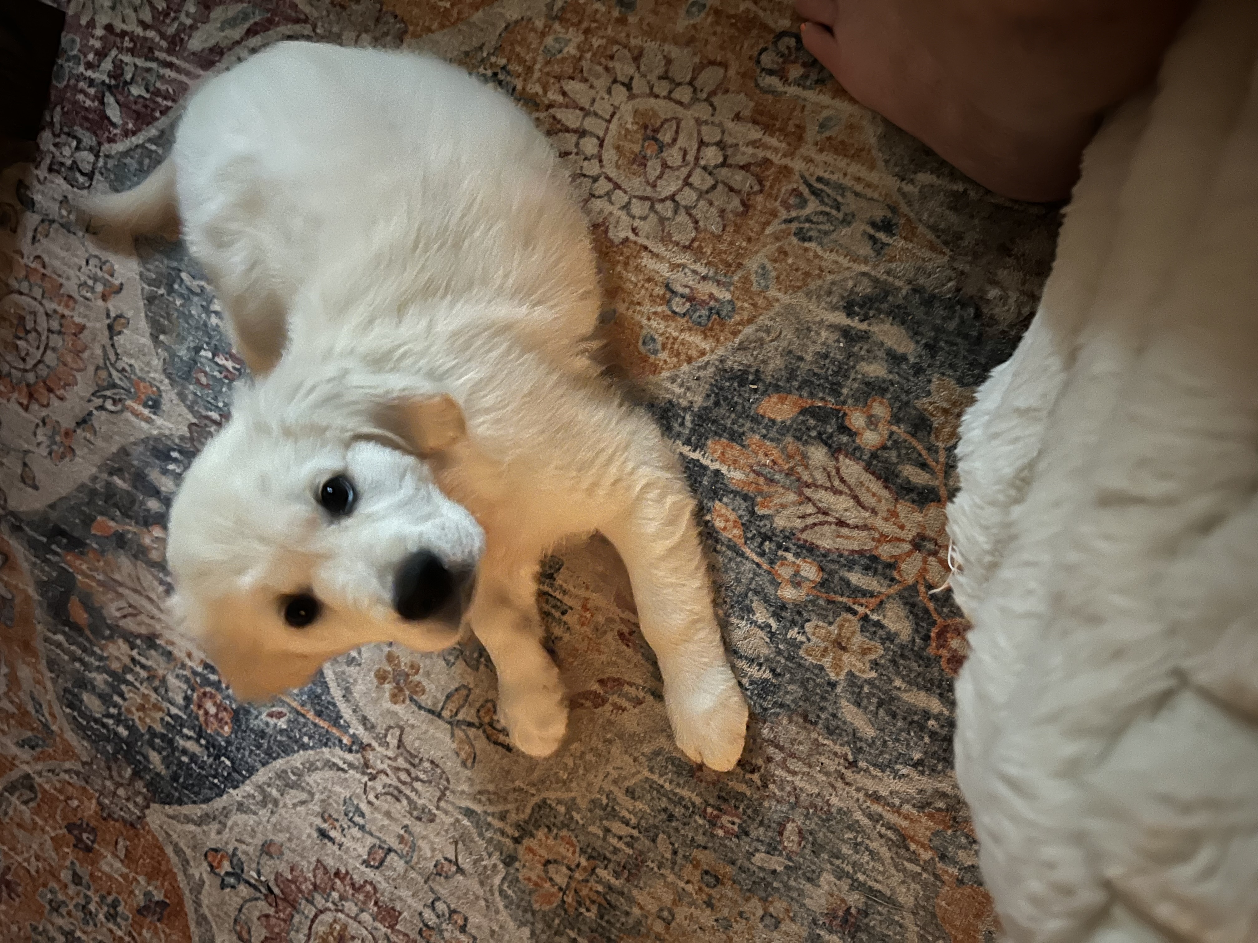 Photo Review Submission from Ursula Hoxie