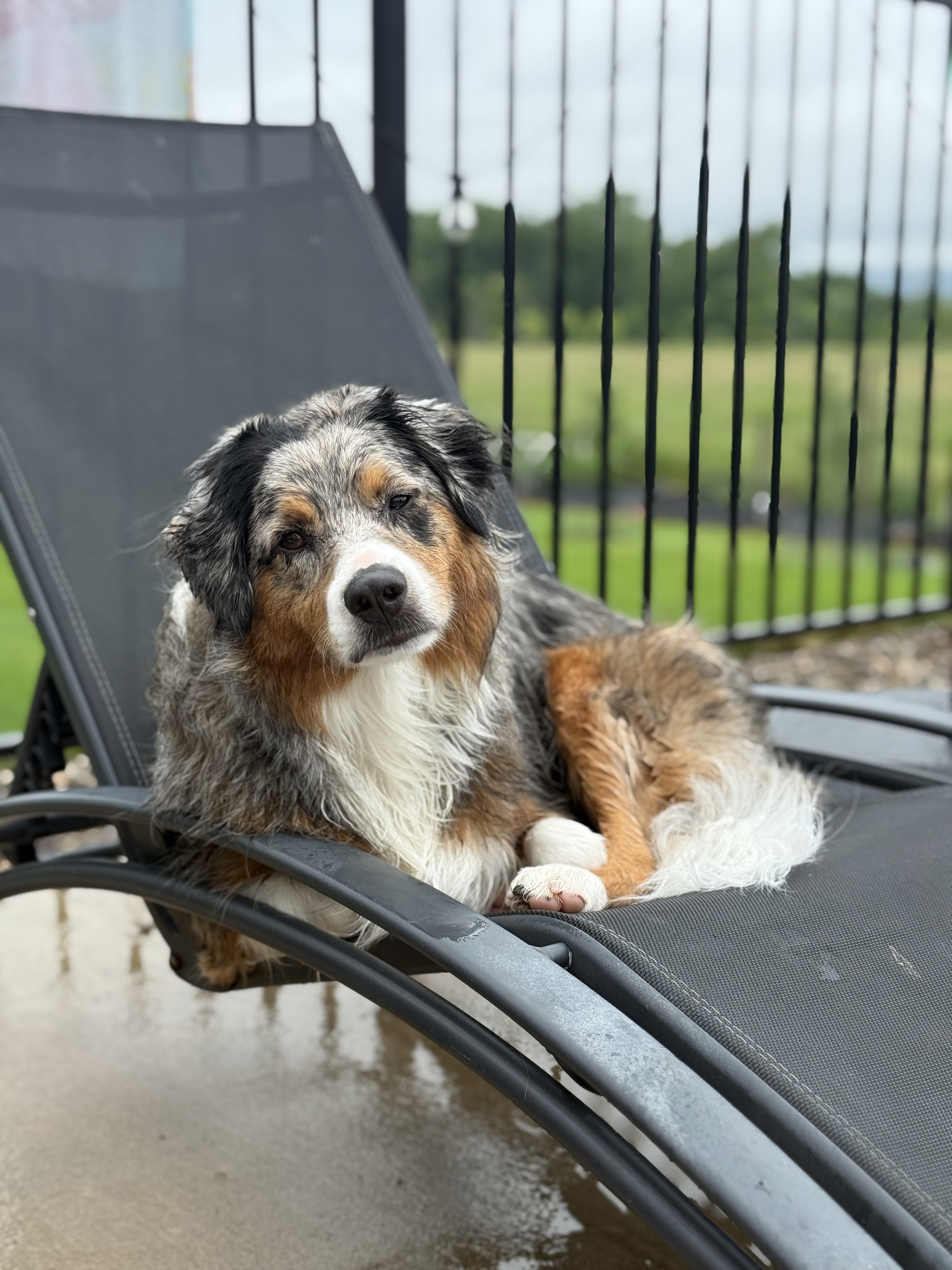 Photo Review Submission from Kylie Marks