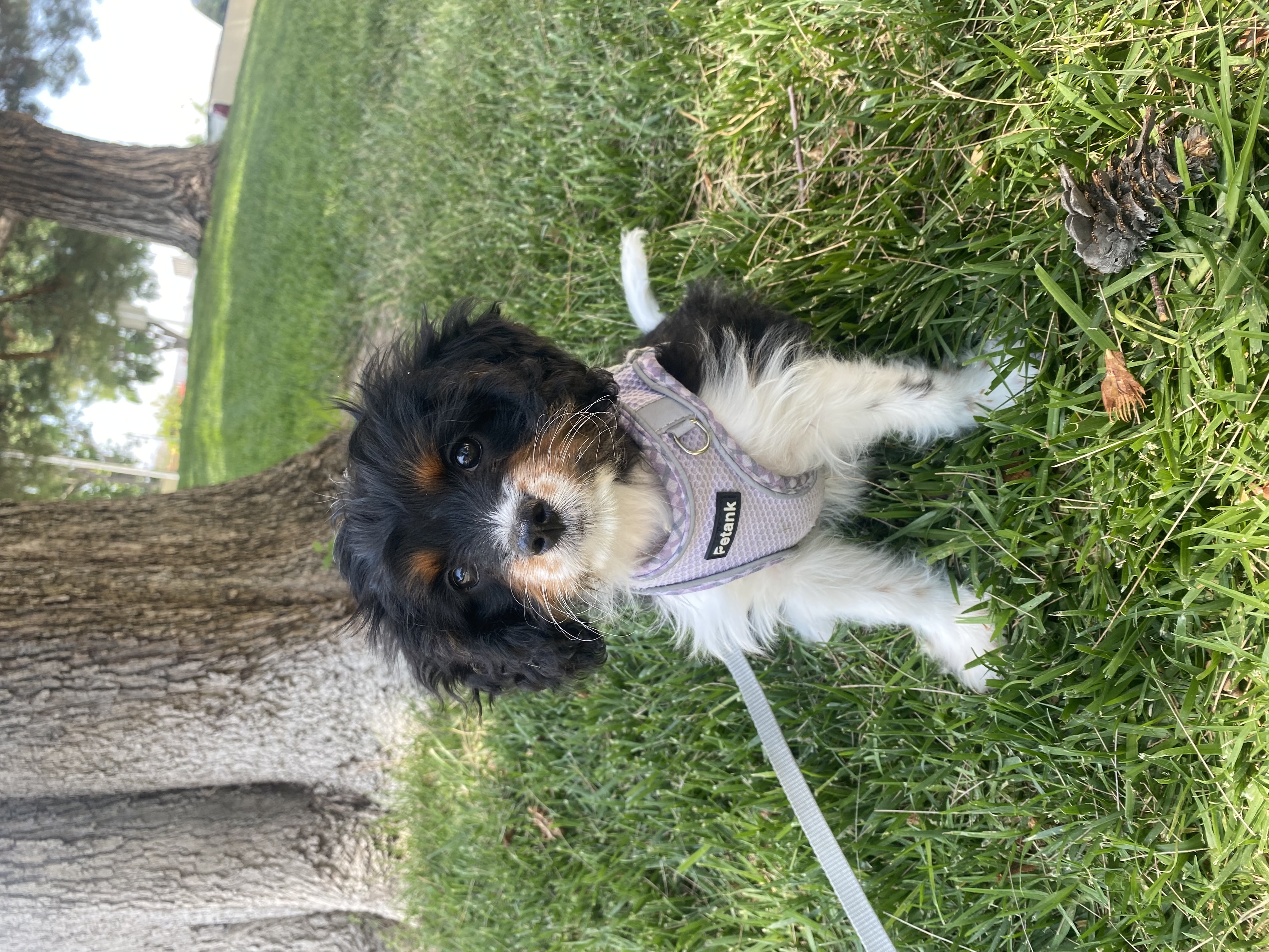 Photo Review Submission from Kaylin Haney
