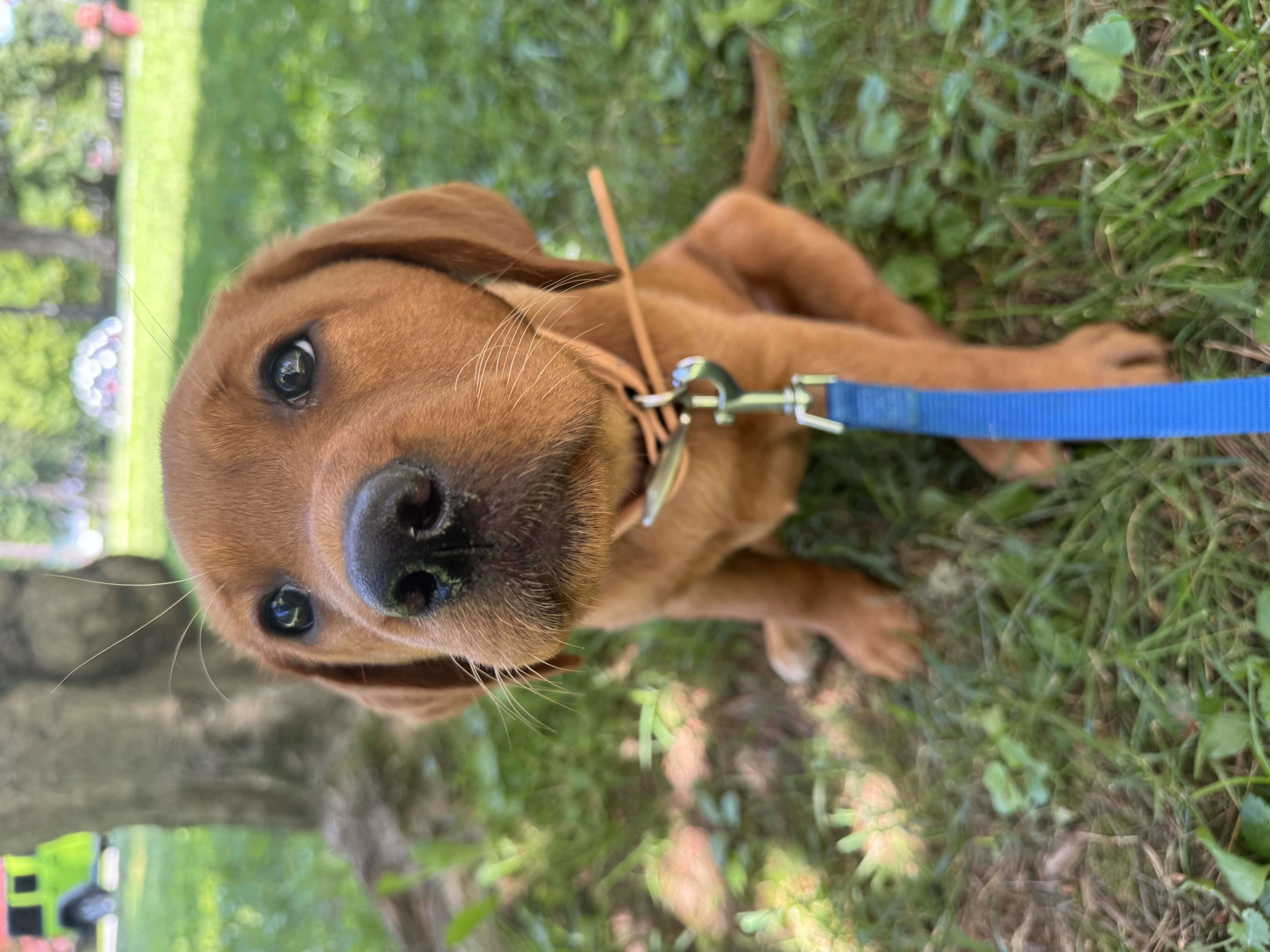 Photo Review Submission from Jackie Picard