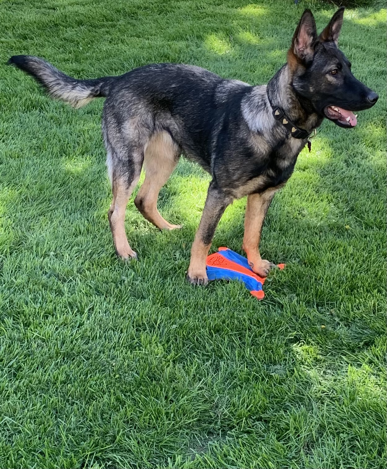 Photo Review Submission from Mike F