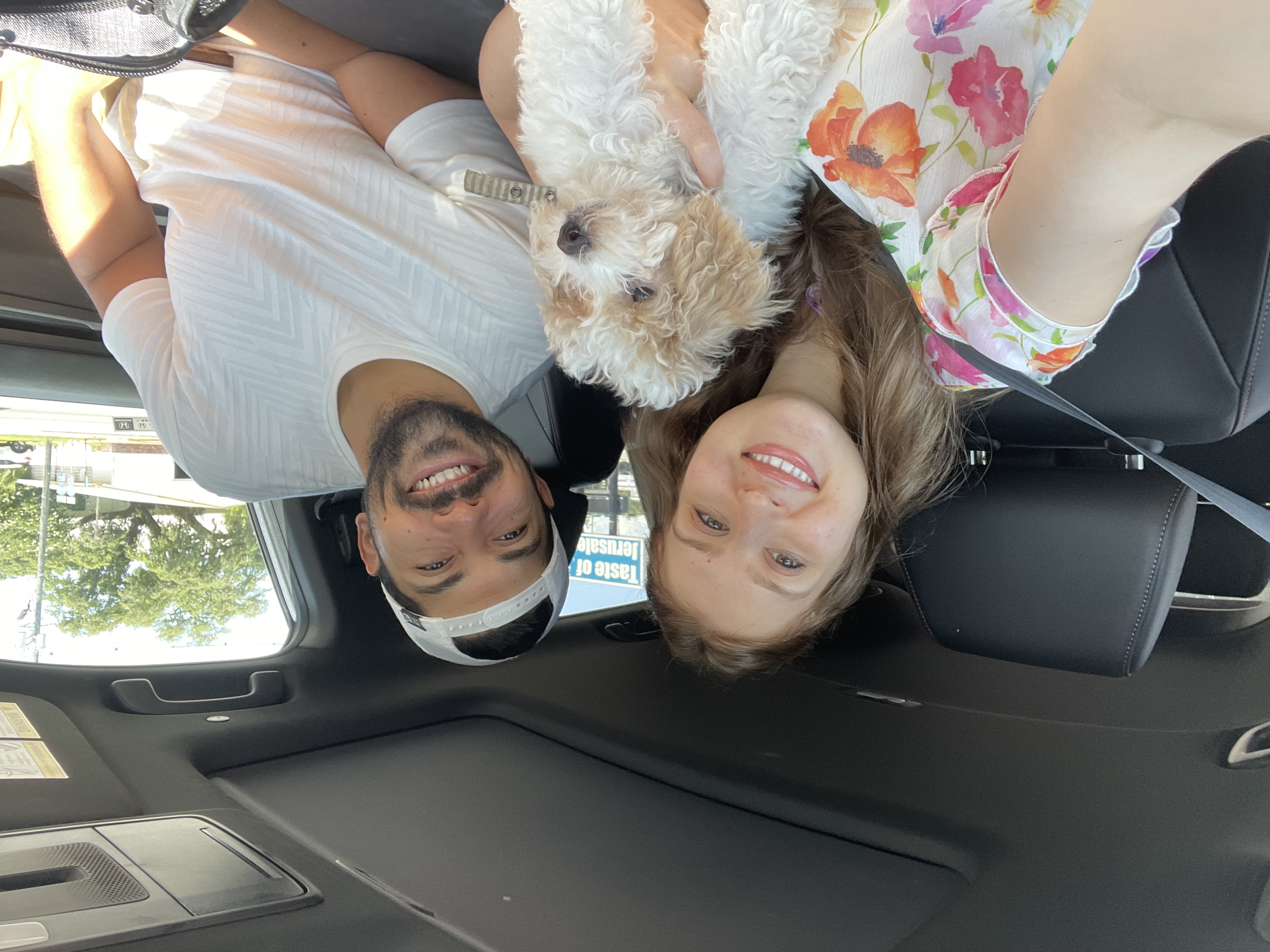 Photo Review Submission from Dania Sabooni