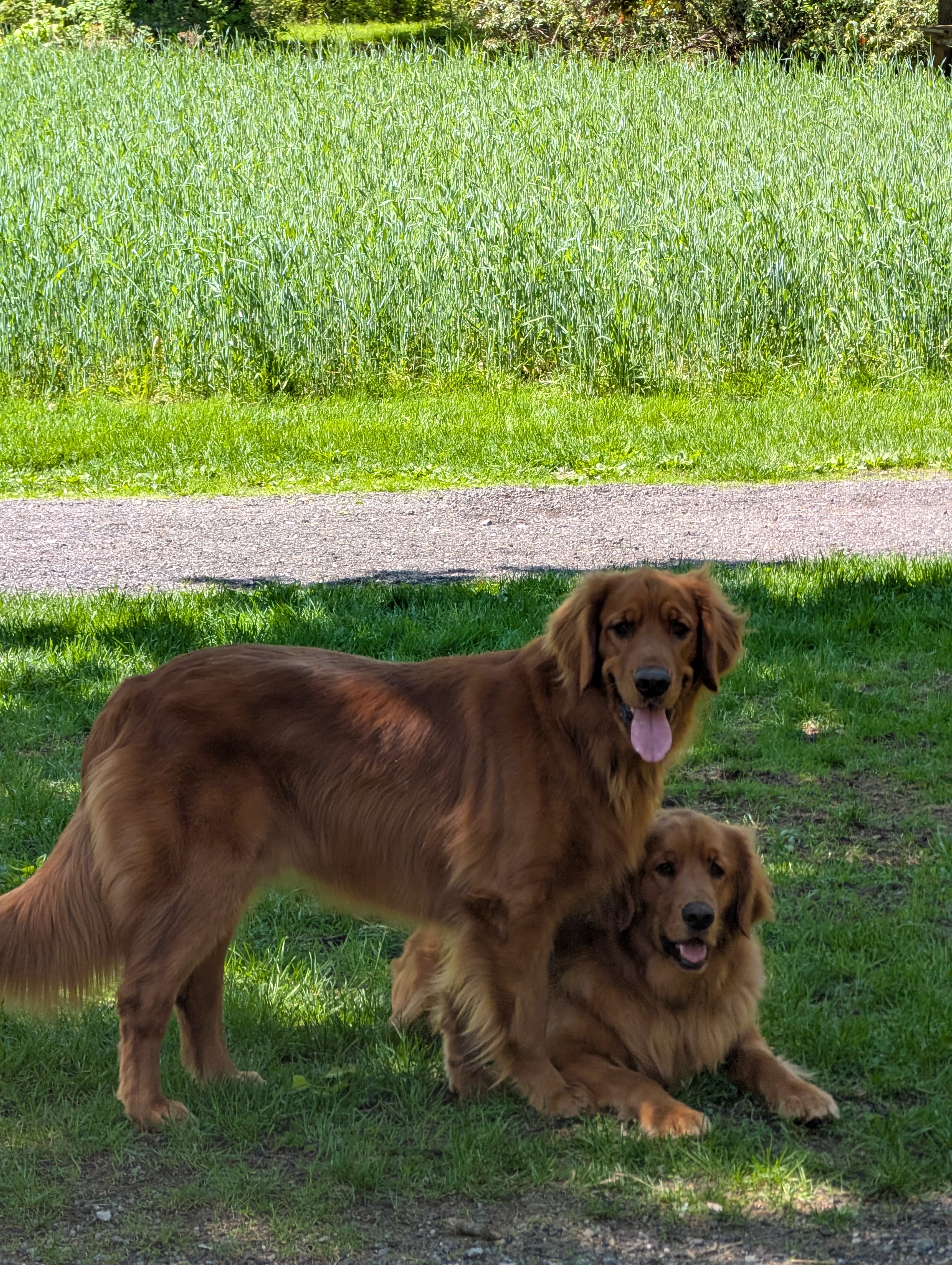 Photo Review Submission from Katie Stegos