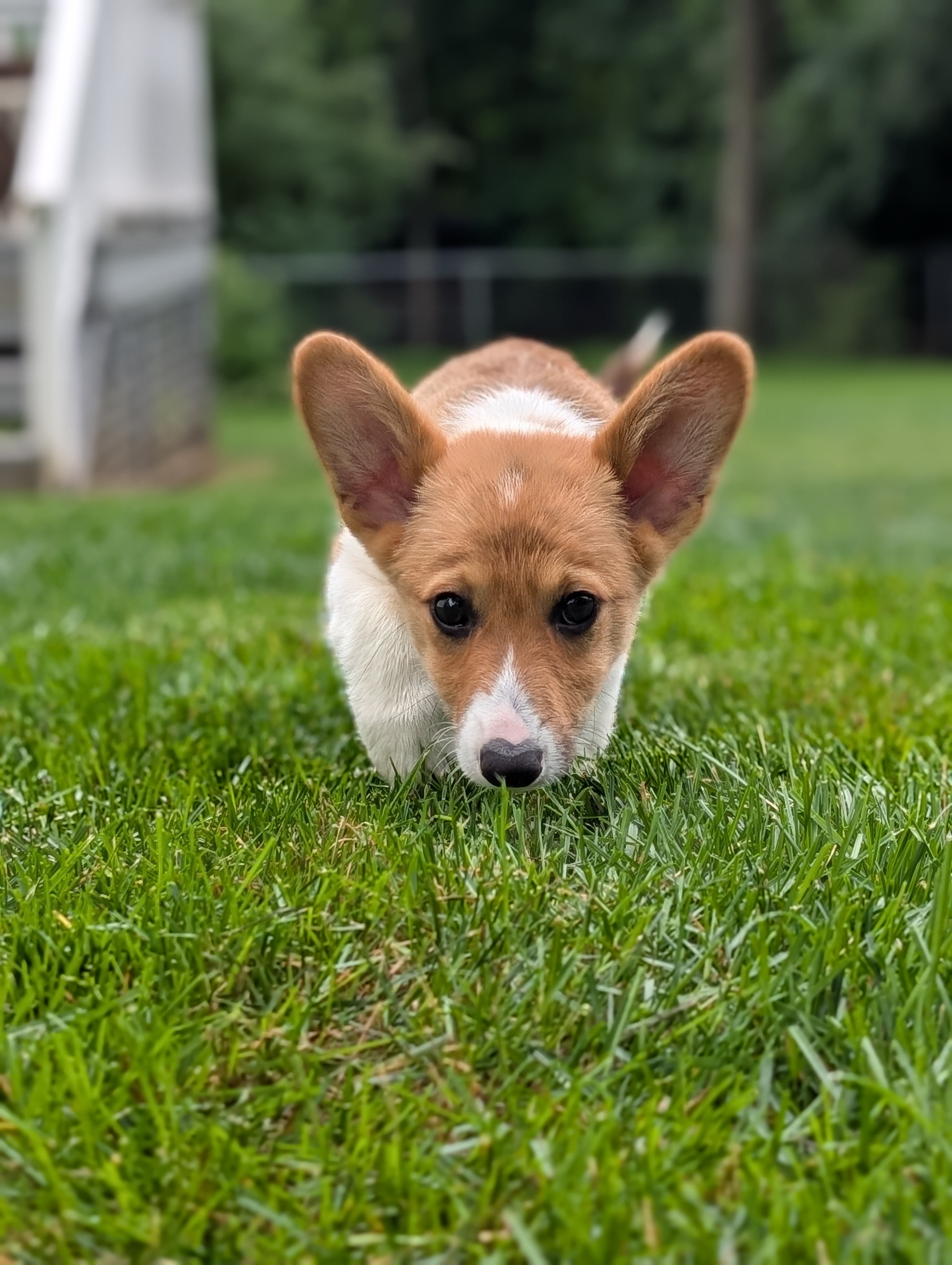 Photo Review Submission from Megan Murtagh