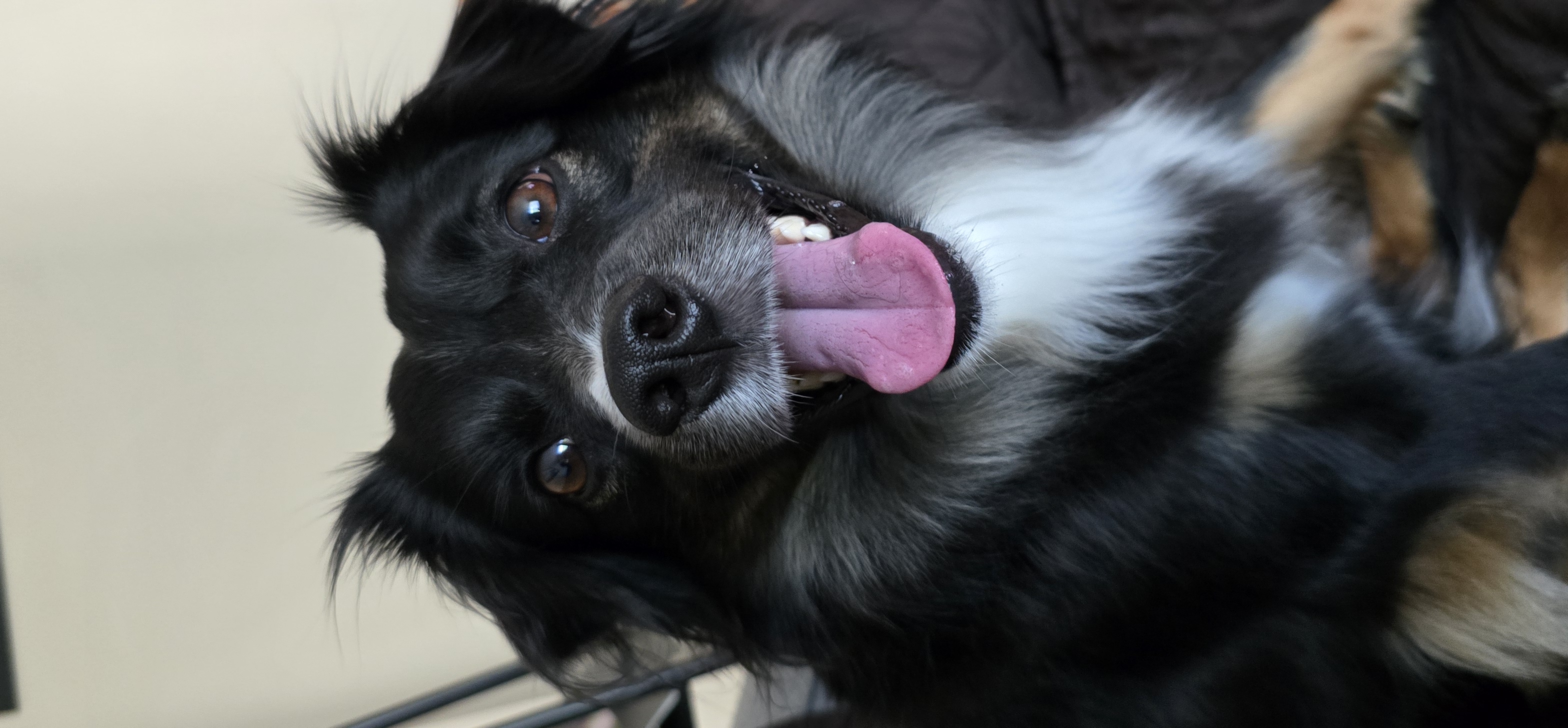 Photo Review Submission from David DiMambro