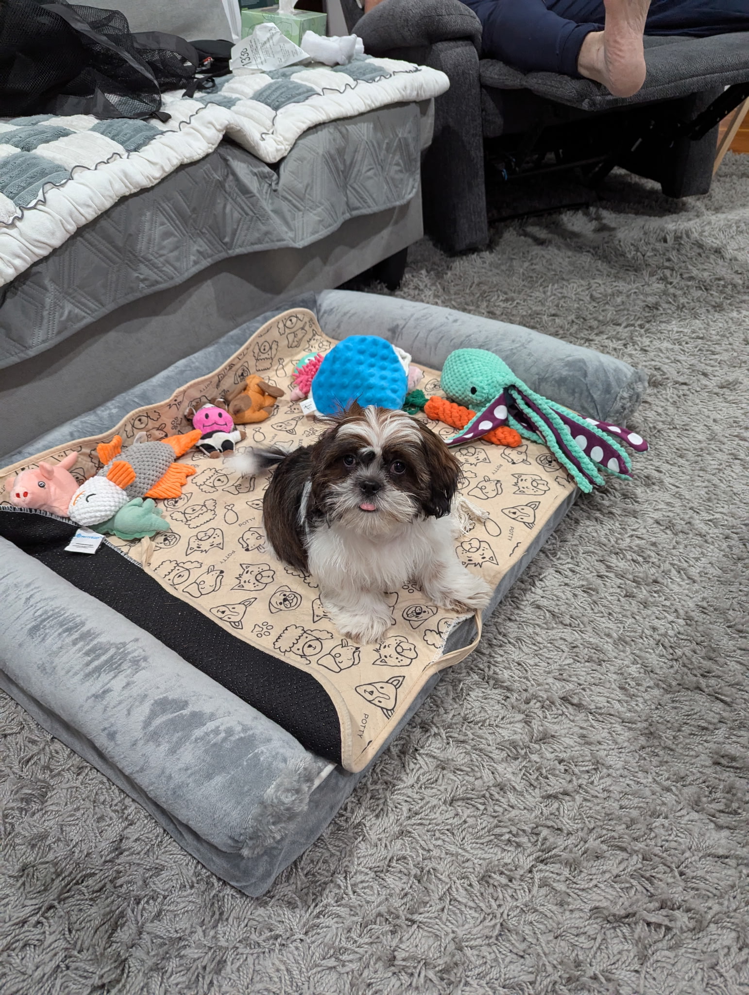 Photo Review Submission from Kimberly Frinzi