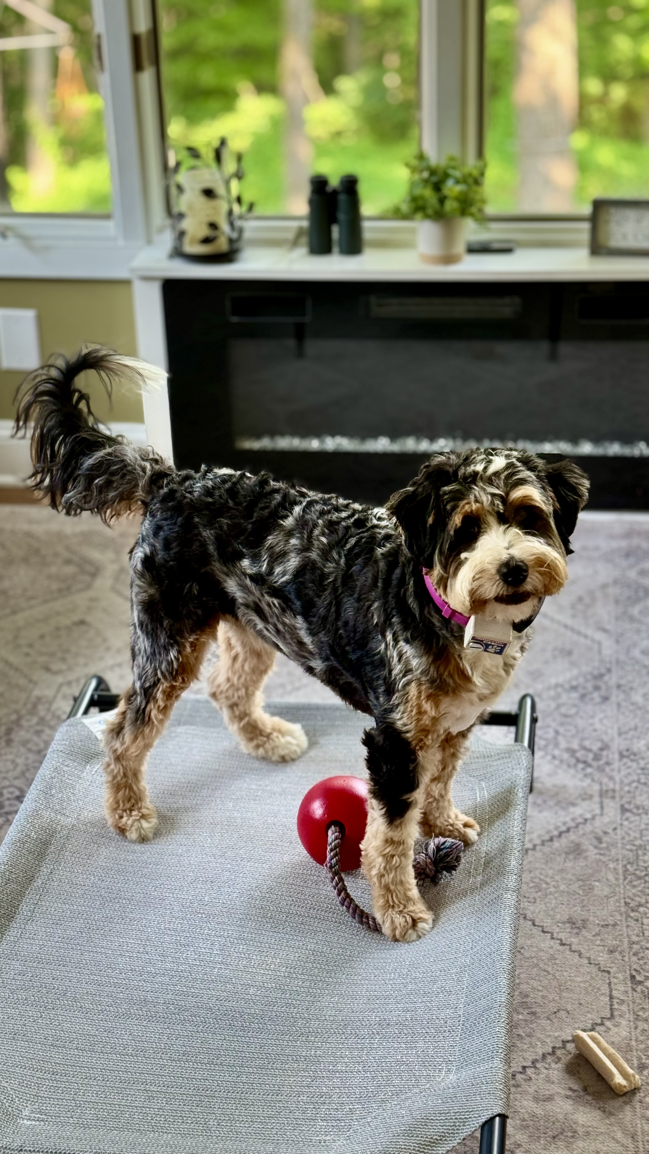Photo Review Submission from Randy and Marilyn Moses