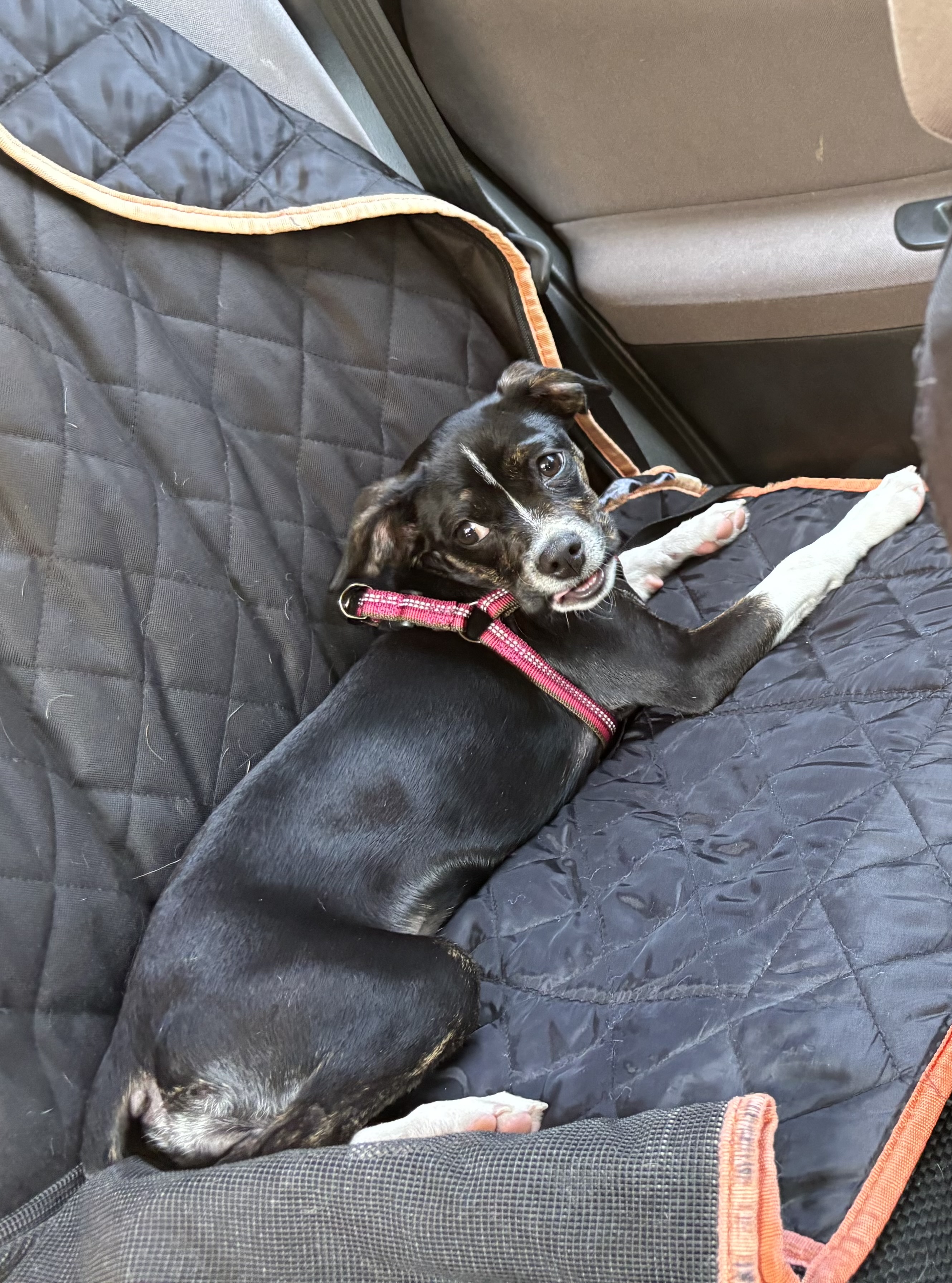Photo Review Submission from Mia Craft