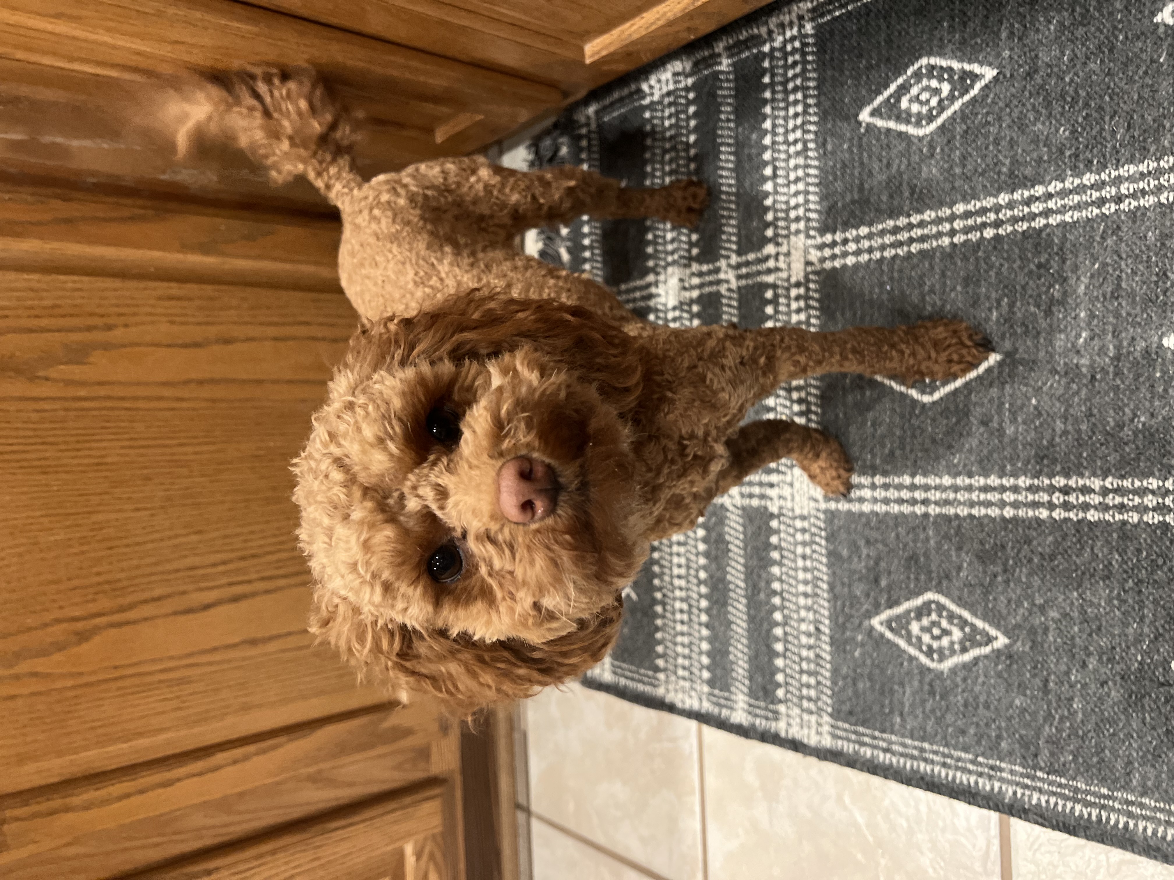 Photo Review Submission from Tasha Poole