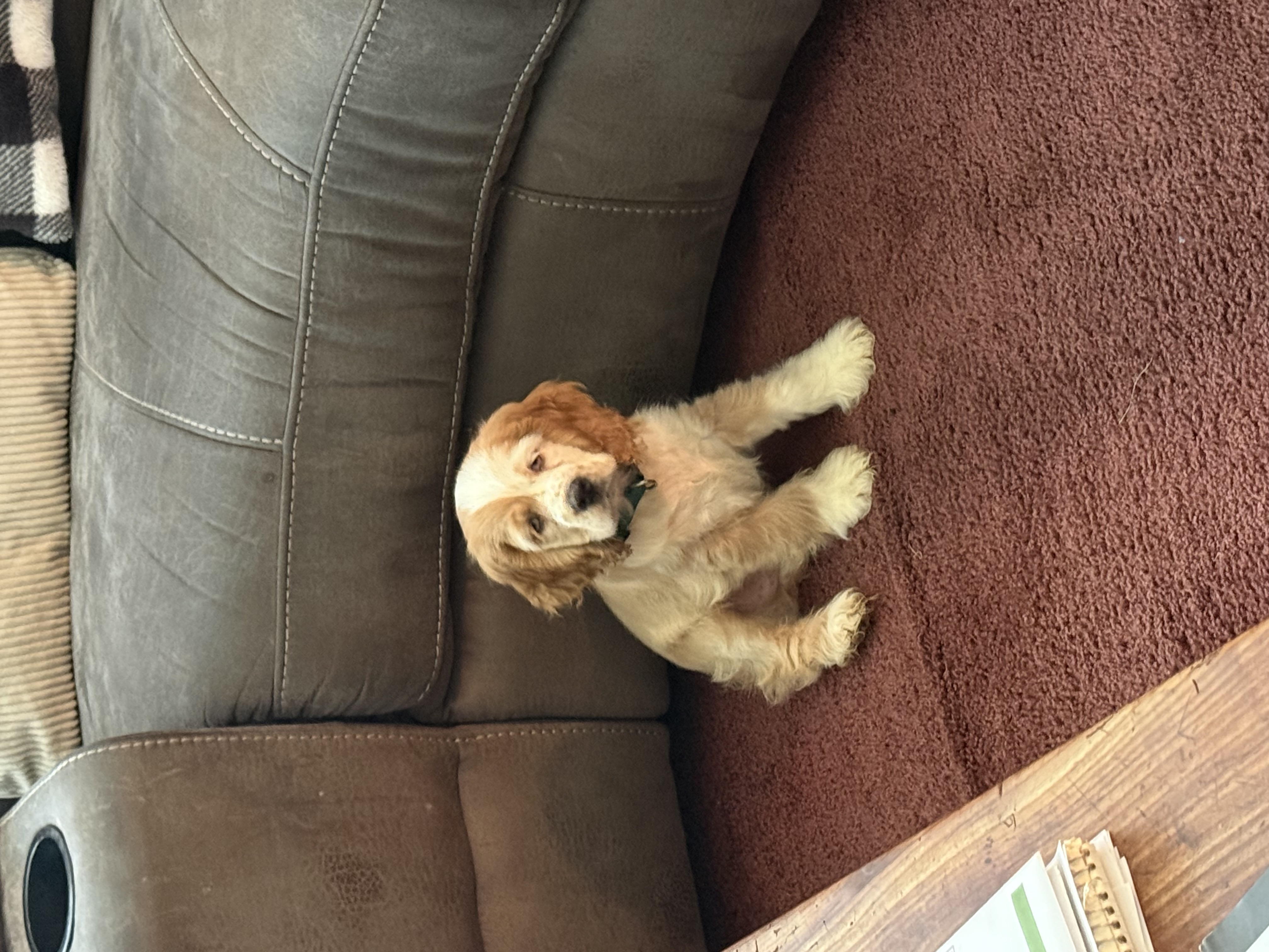 Photo Review Submission from Joan Rice