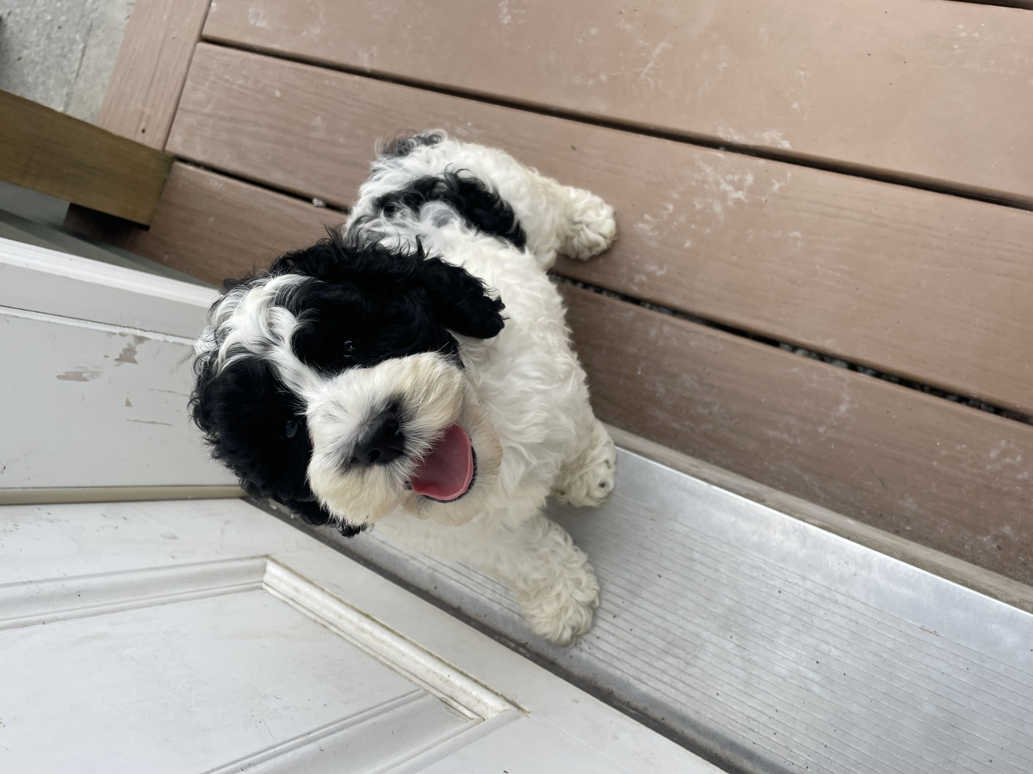Photo Review Submission from Katie Sherman
