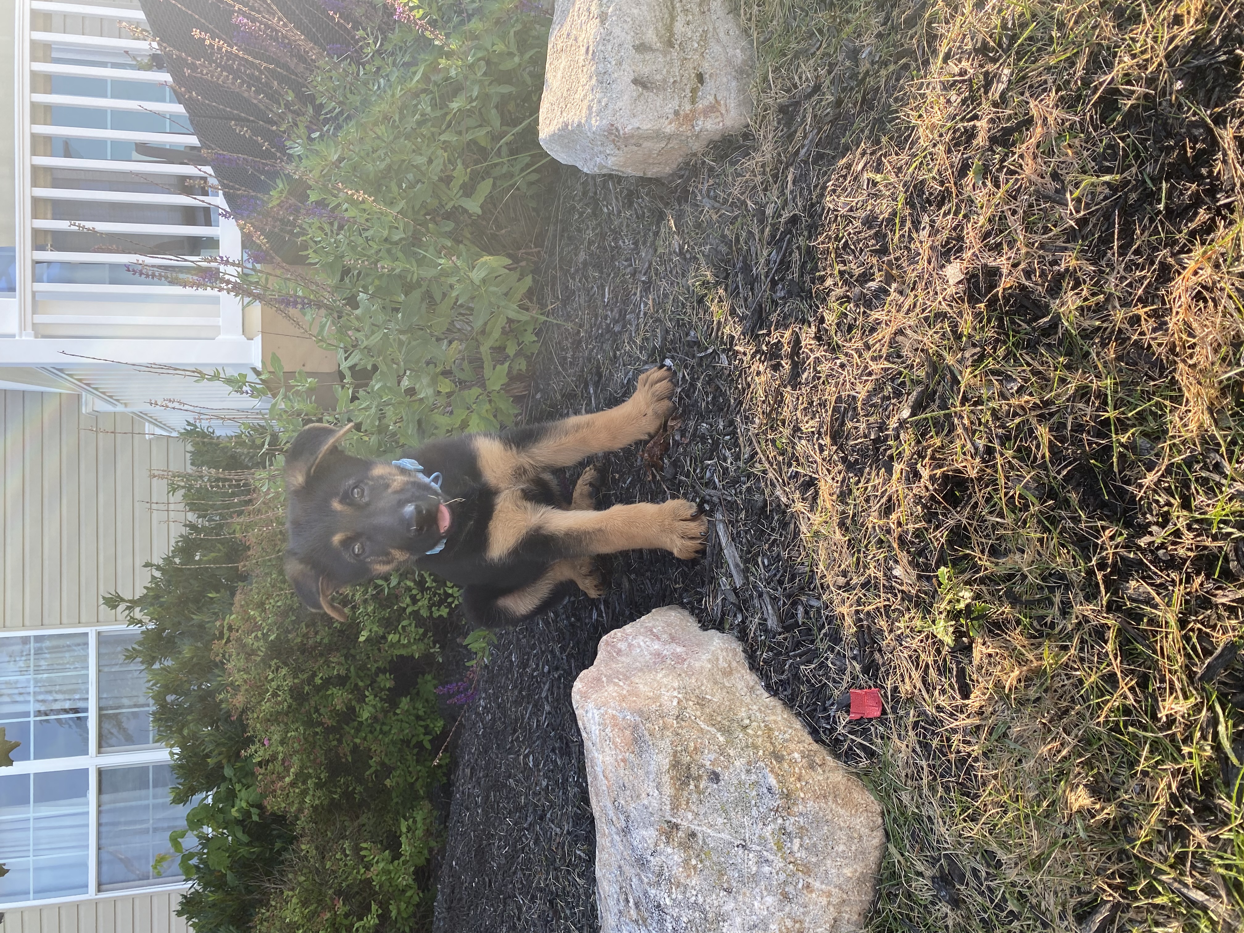 Photo Review Submission from Desiree Sedgwick