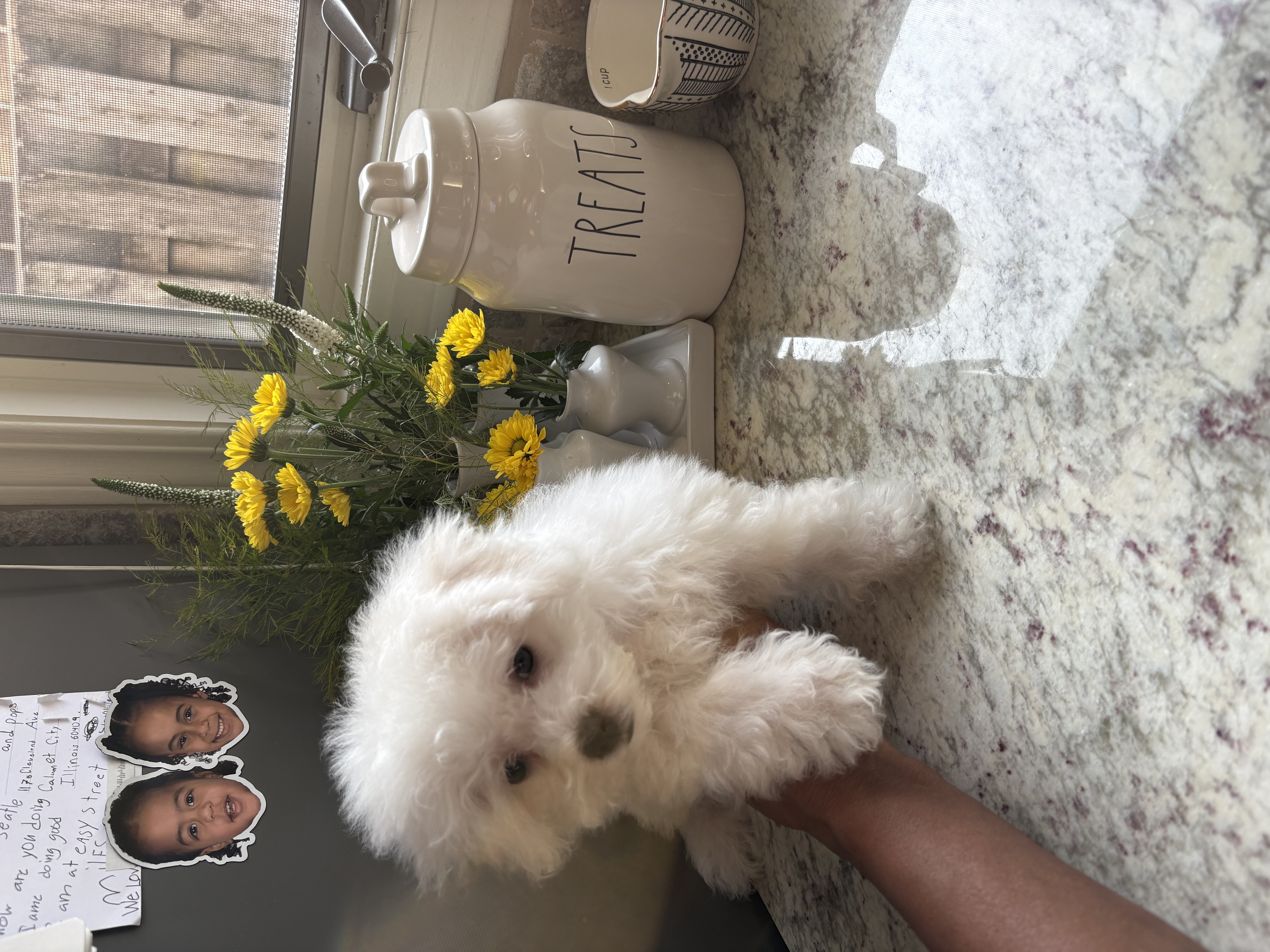 Photo Review Submission from HERBANIA MITCHUM