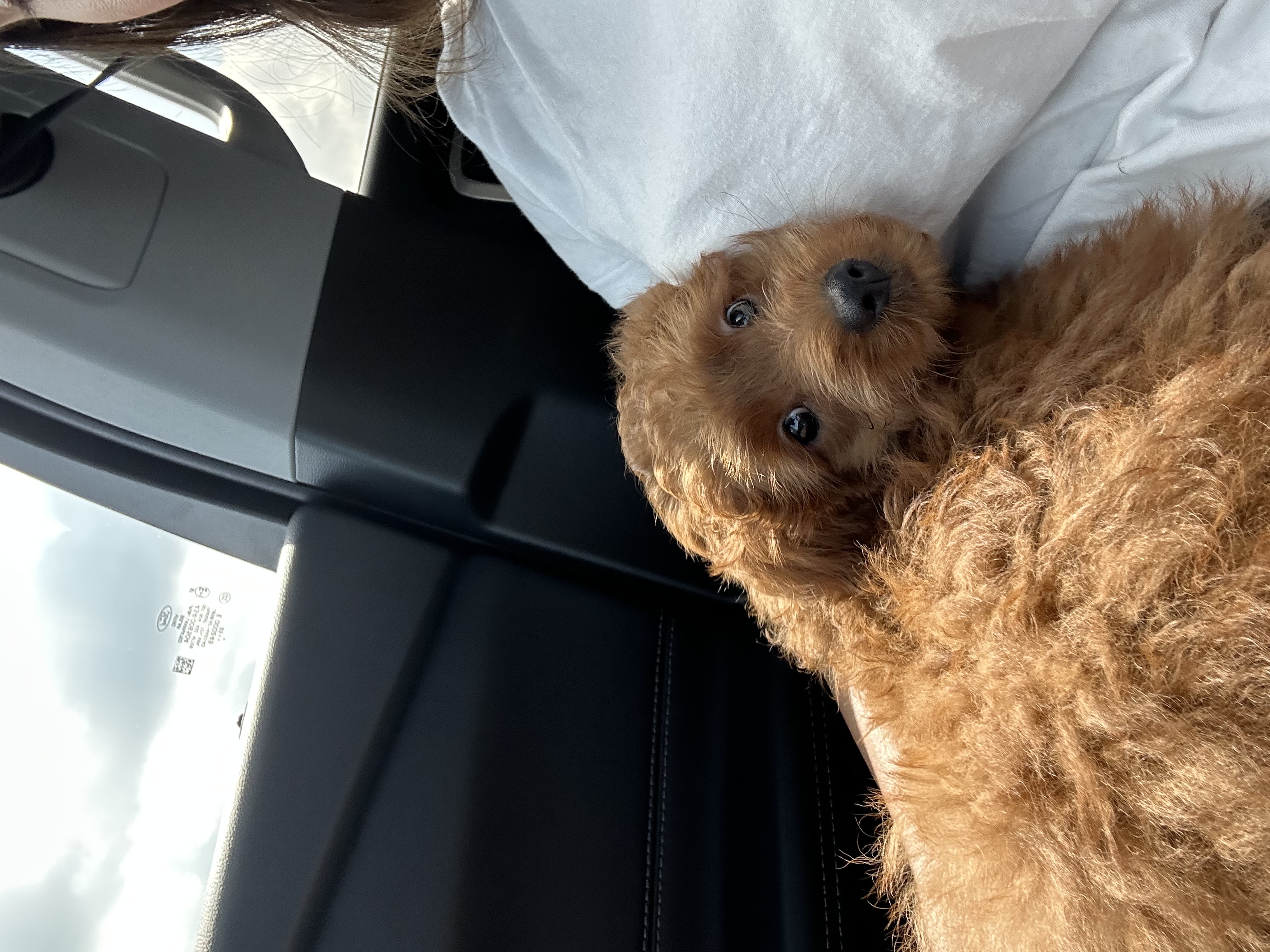 Photo Review Submission from Marissa Dare