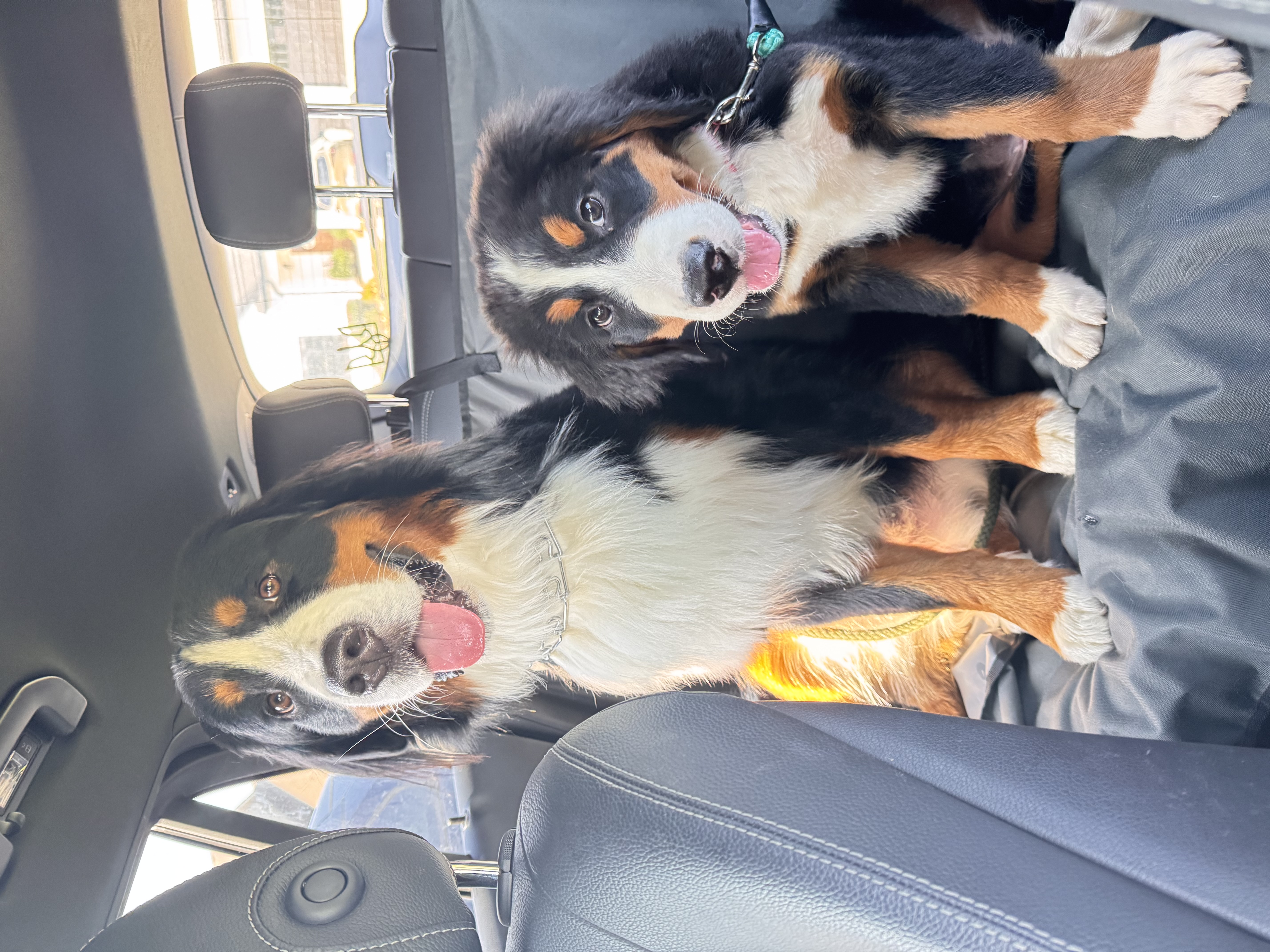 Photo Review Submission from Maria Barlow