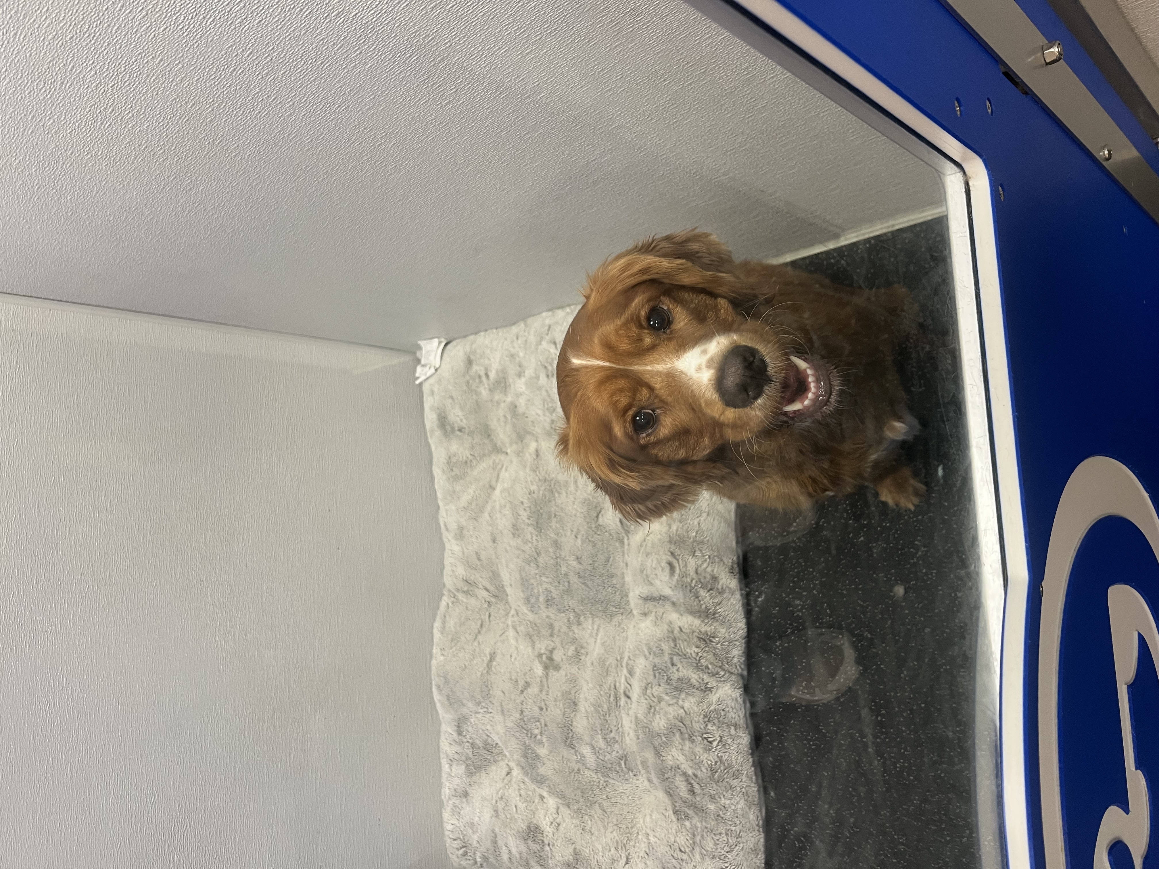 Photo Review Submission from Olivia Neuner