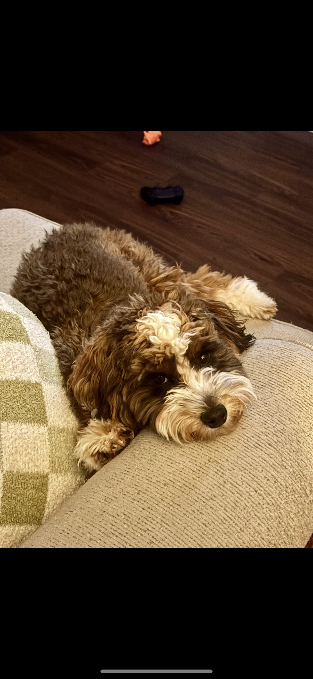 Photo Review Submission from Lindsay Hood