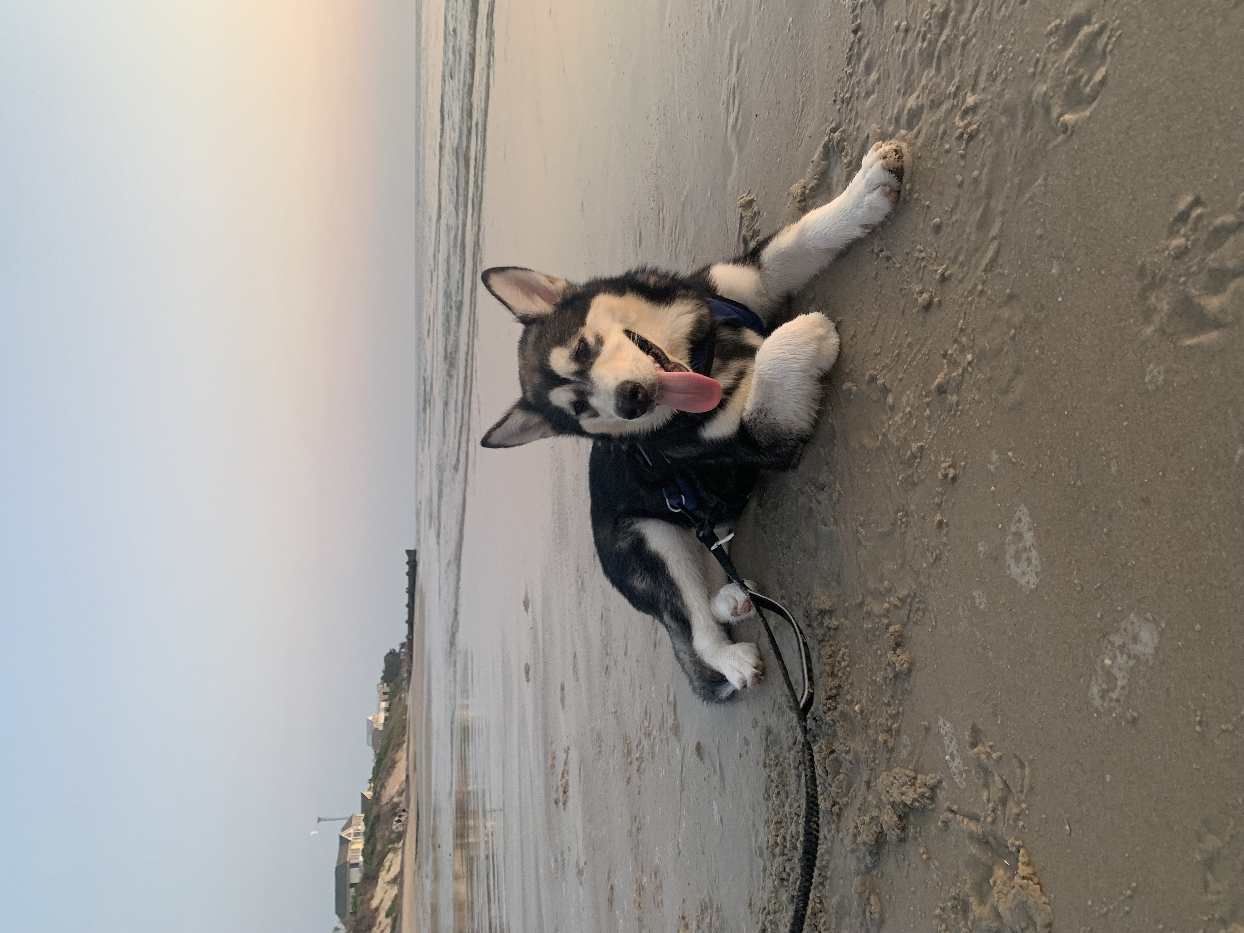 Photo Review Submission from Ann Maginnis