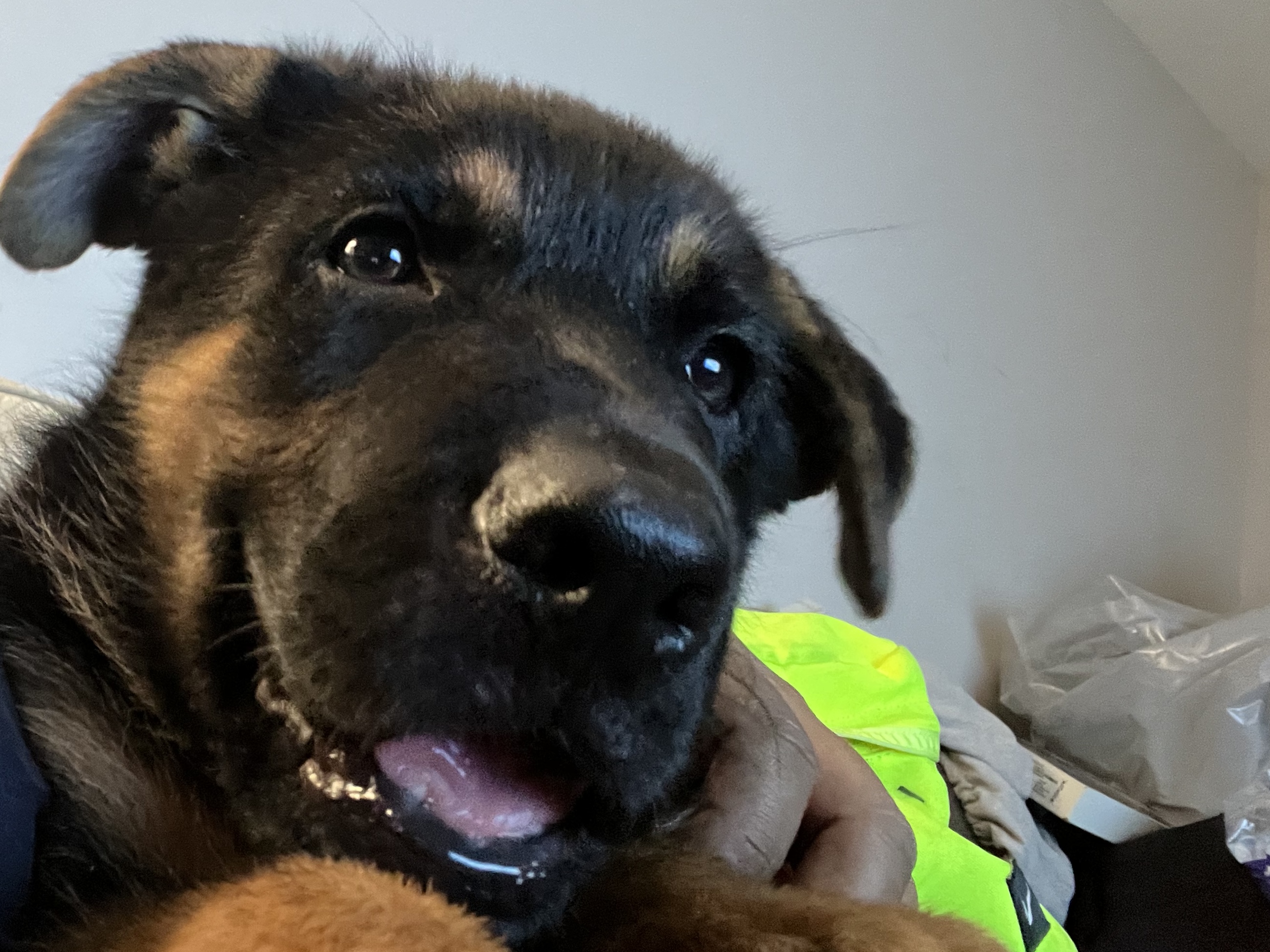 Photo Review Submission from Eddie Lema