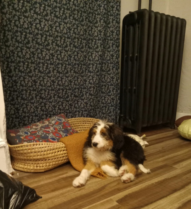 Photo Review Submission from Sarah Gonzales