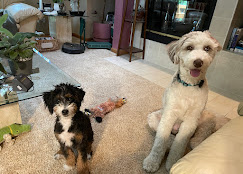Photo Review Submission from Audrey Marrocco