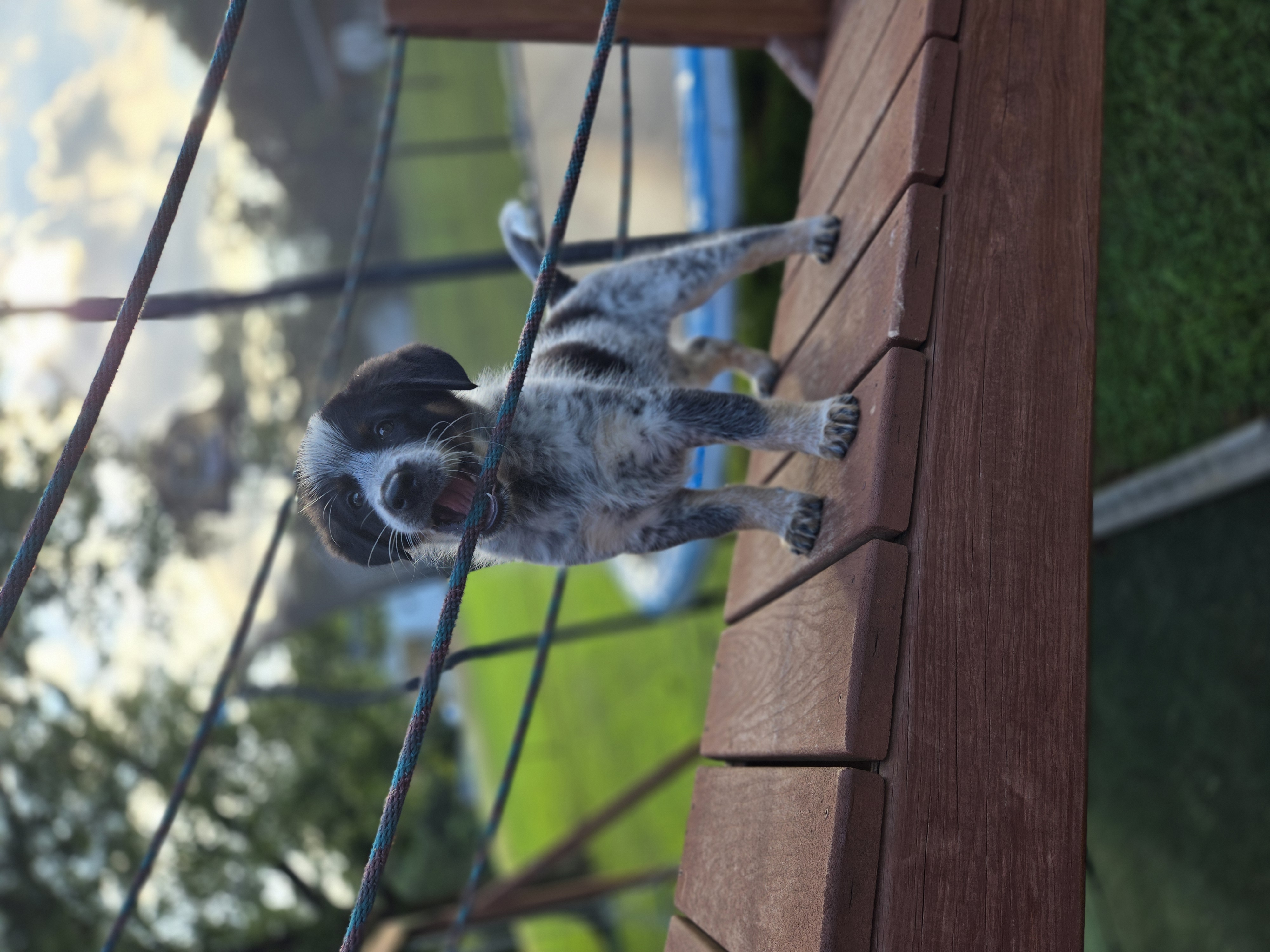 Photo Review Submission from Matthew Sims