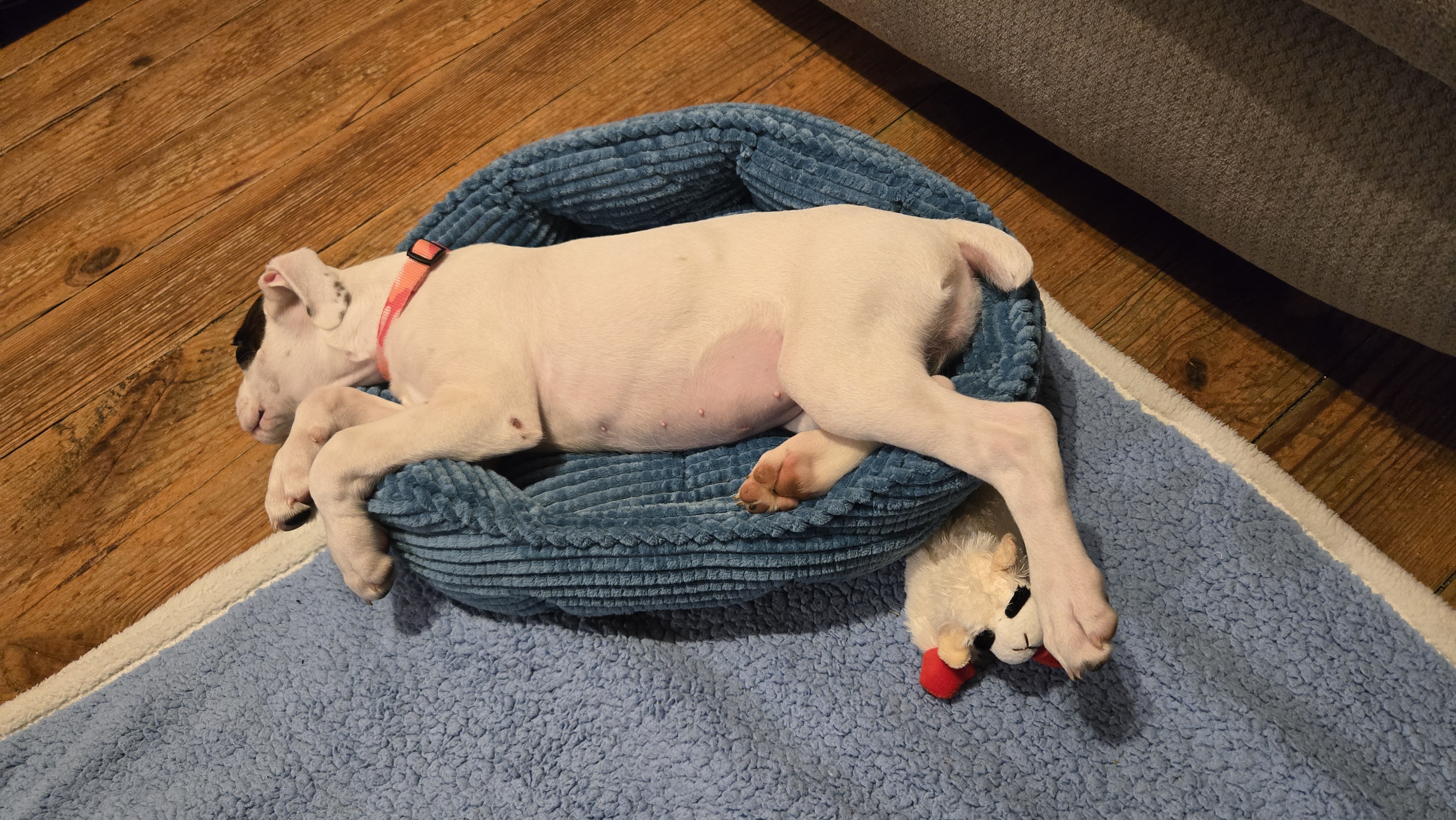 Photo Review Submission from John Inscho