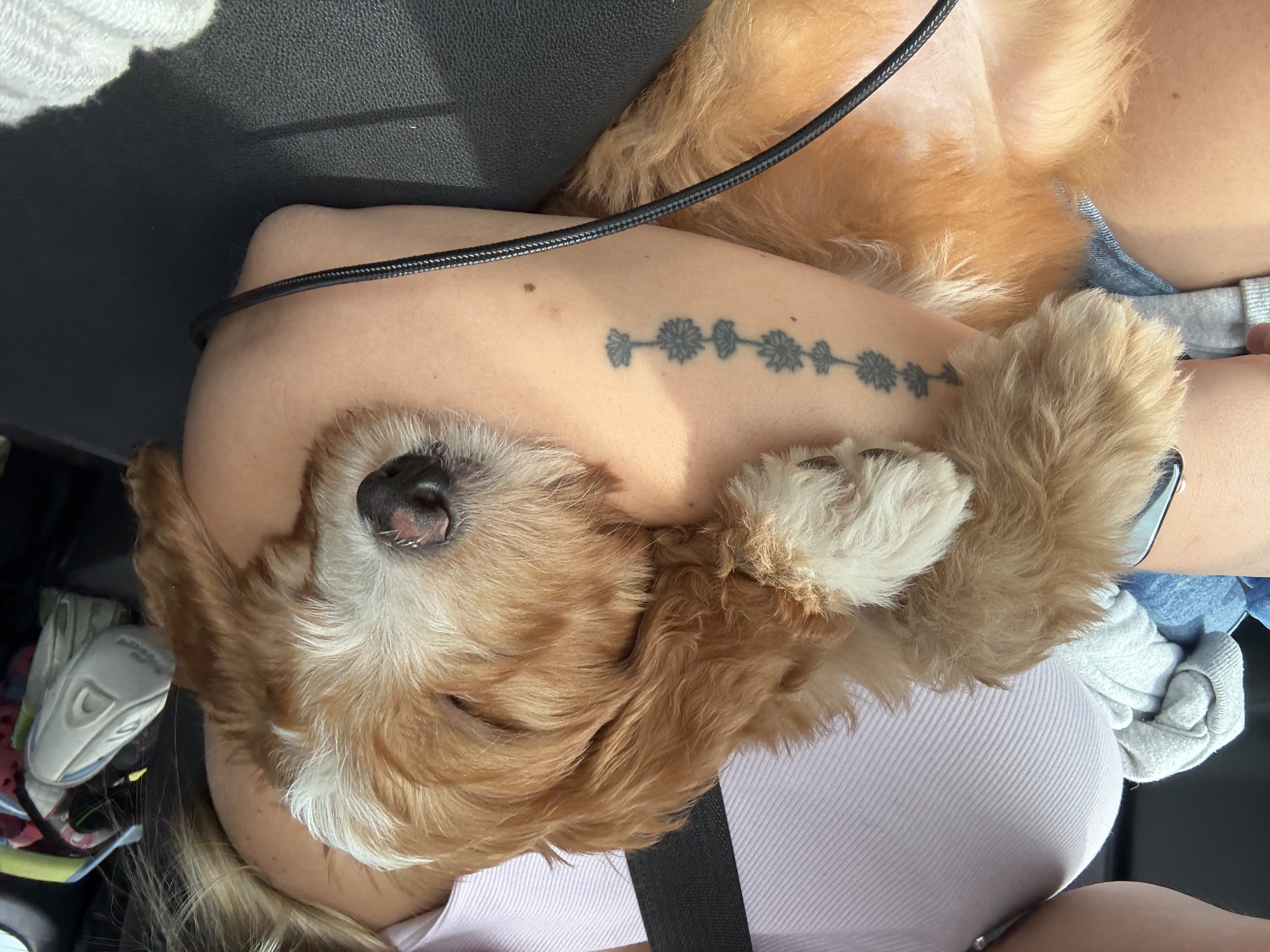 Photo Review Submission from Julia Dixson