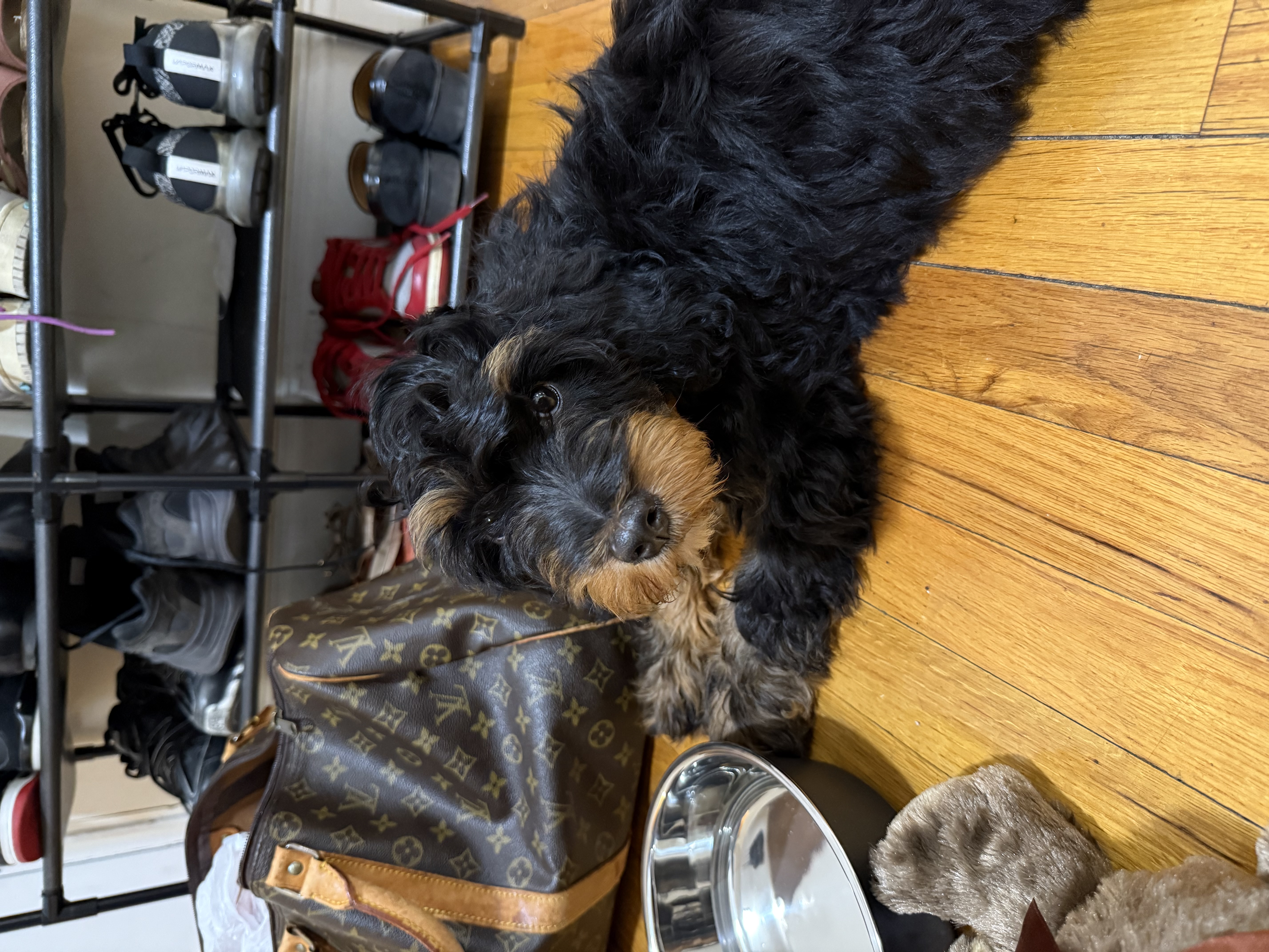 Photo Review Submission from Francine Charles