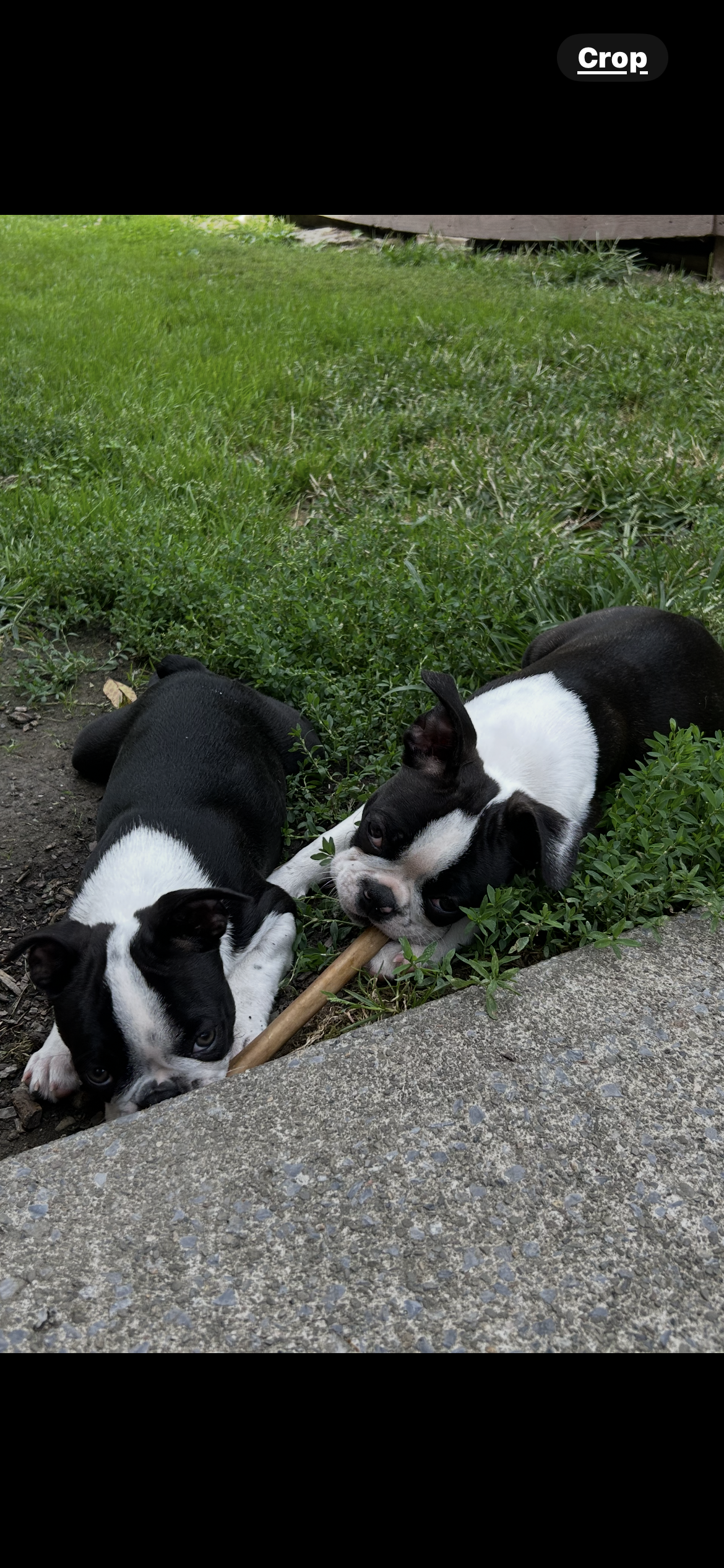 Photo Review Submission from Catherine Cole