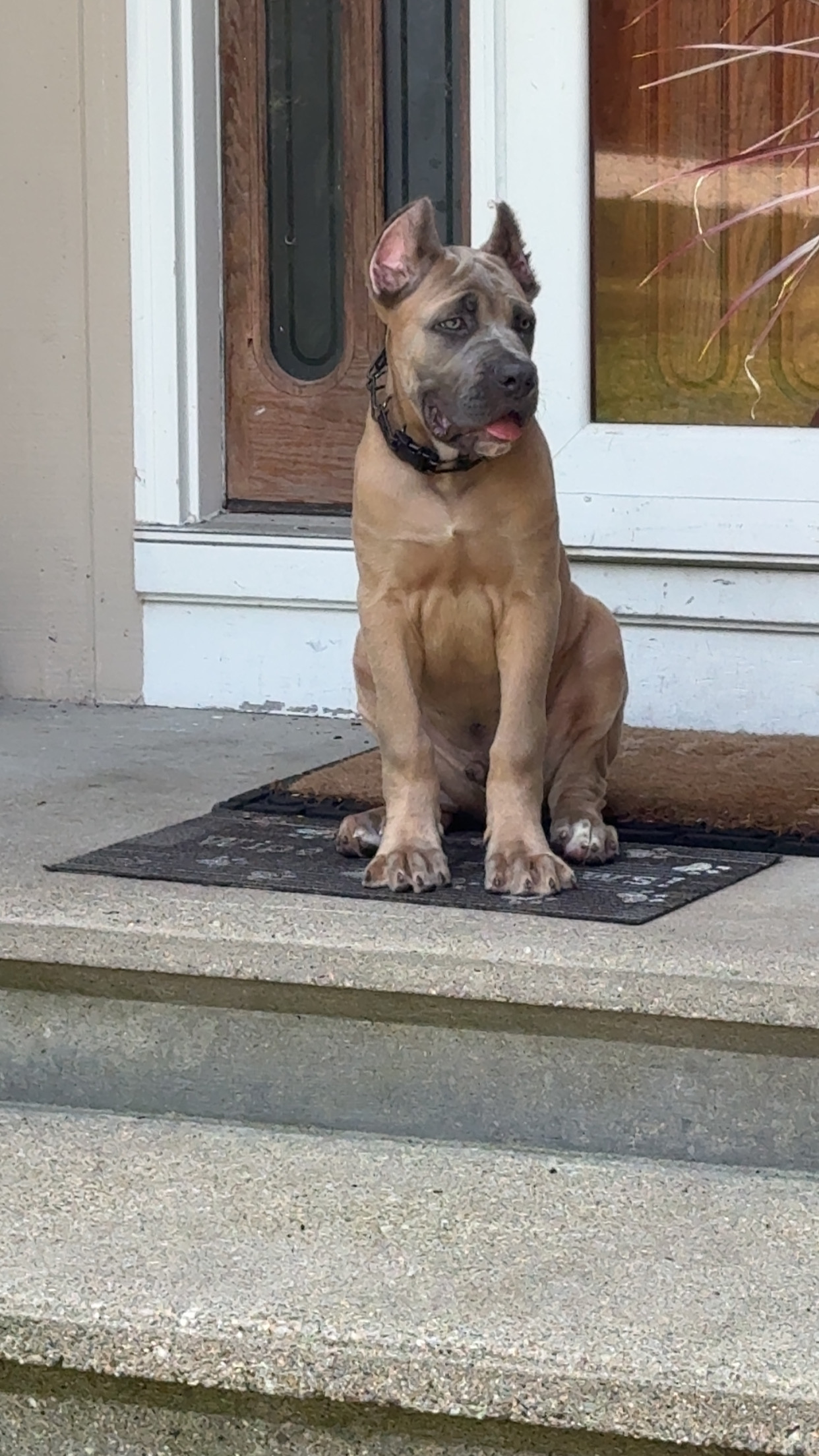 Photo Review Submission from Lanya Watson