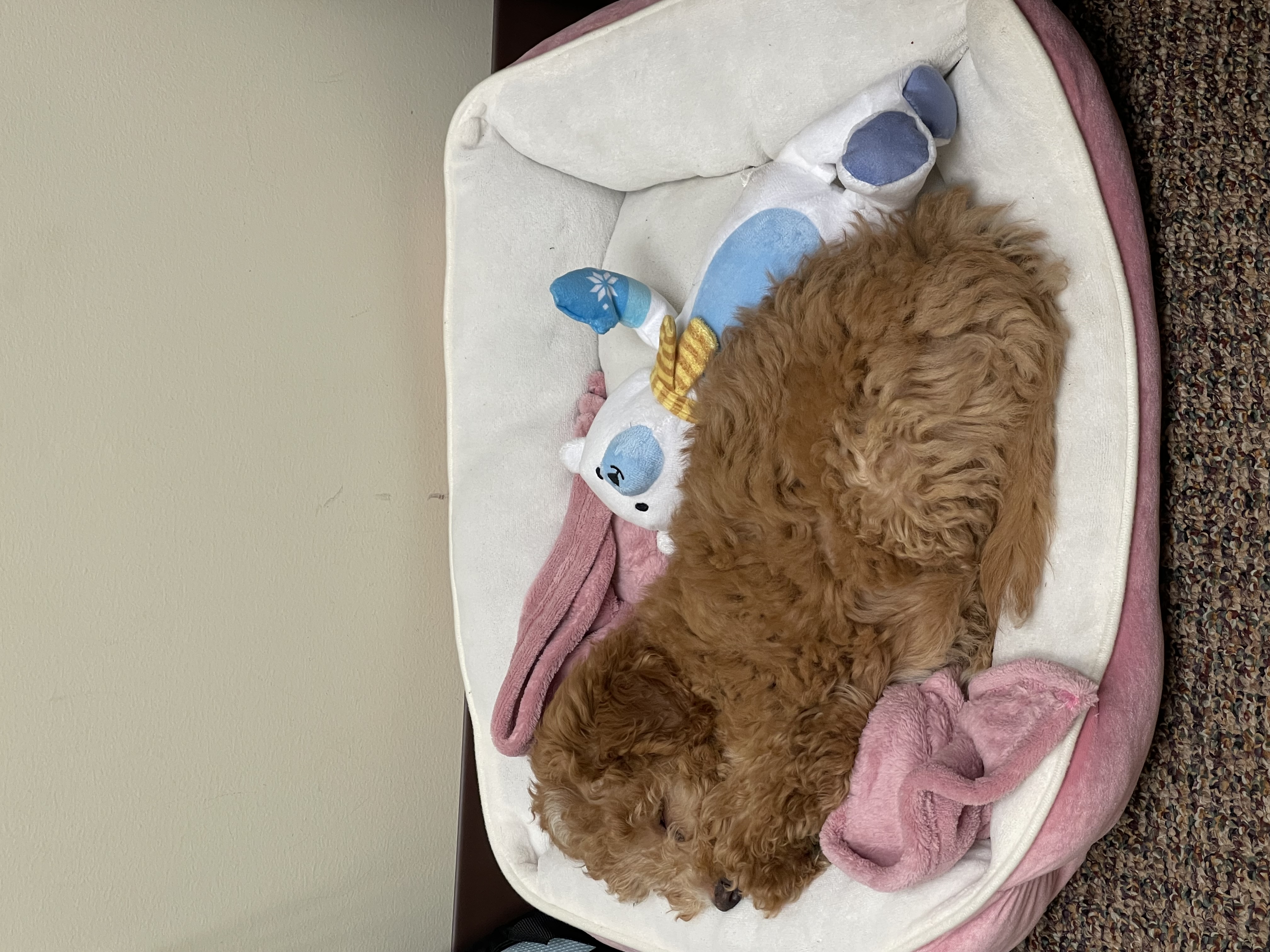 Photo Review Submission from Jennifer Spiker